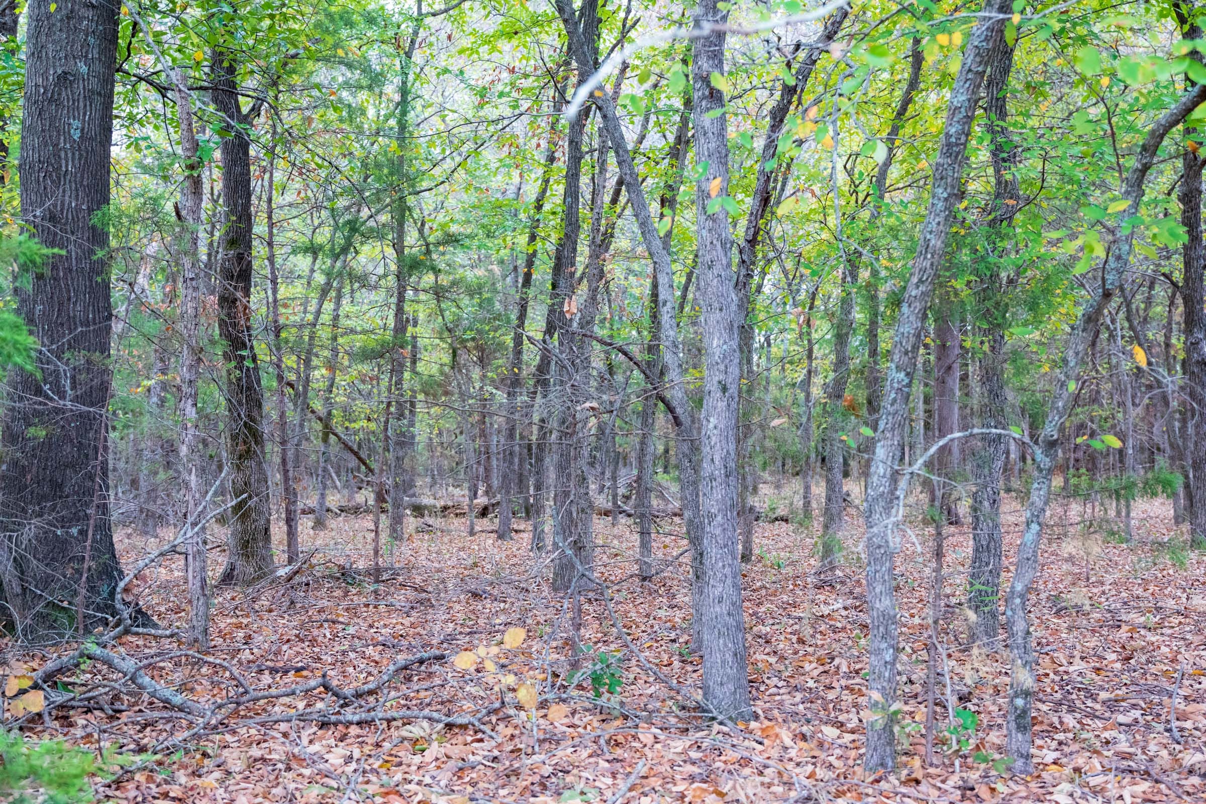 Crystal Springs Tract 5 photo 17