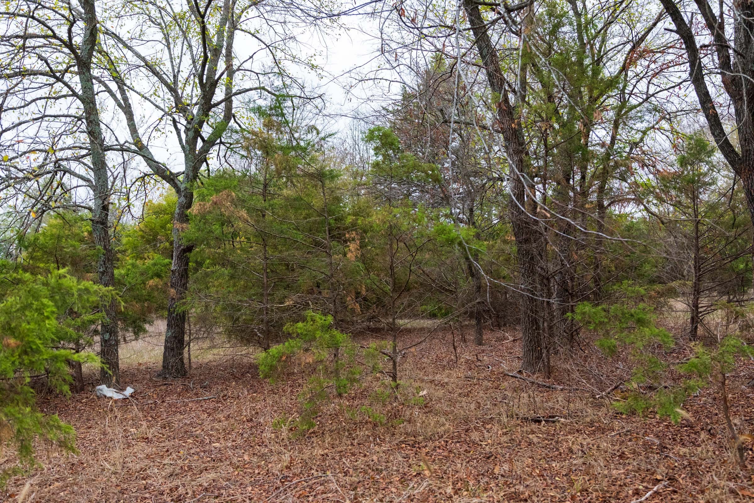 Crystal Springs Tract 5 photo 18