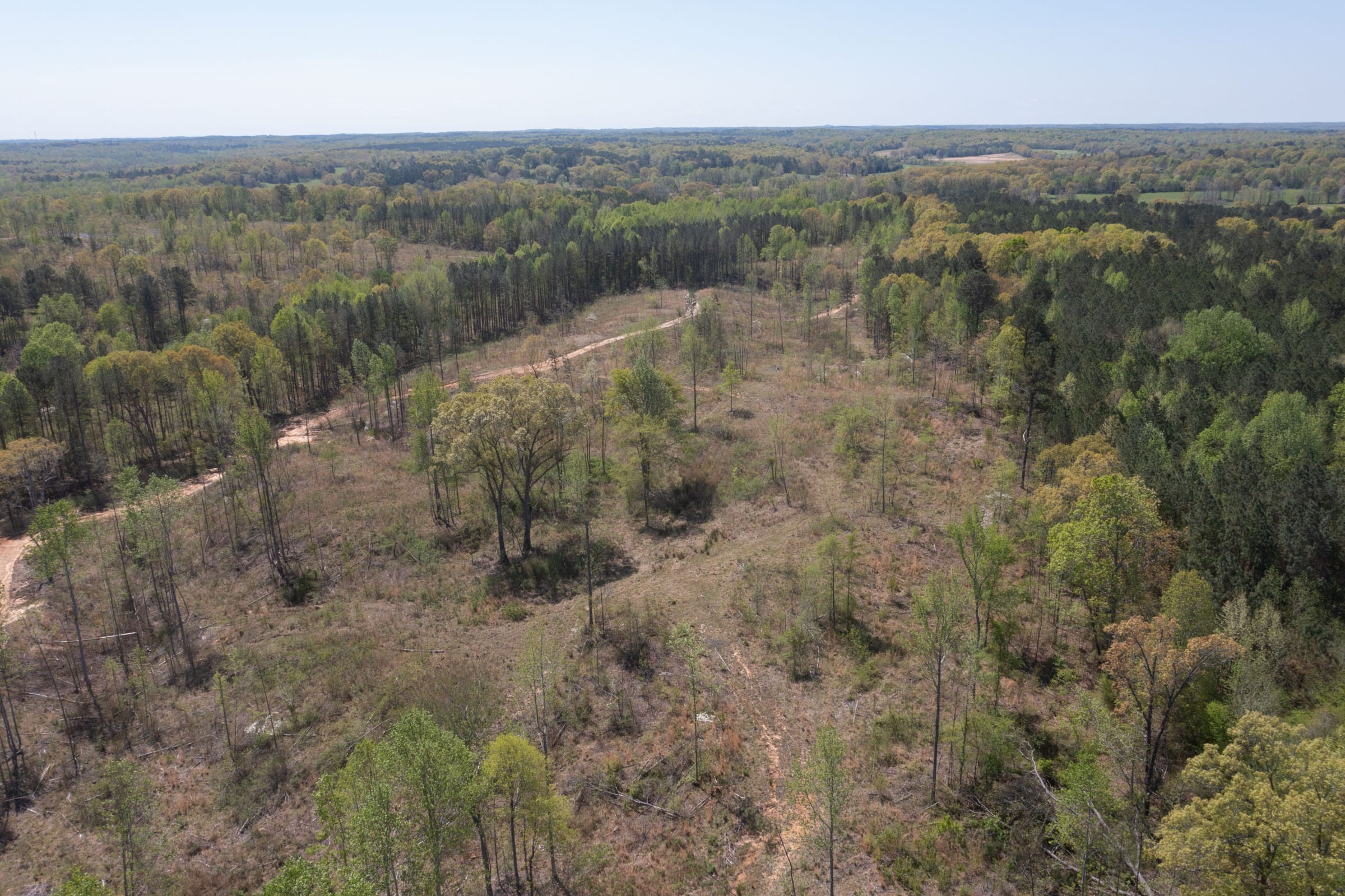 Twin Rivers Tract 13 photo 2