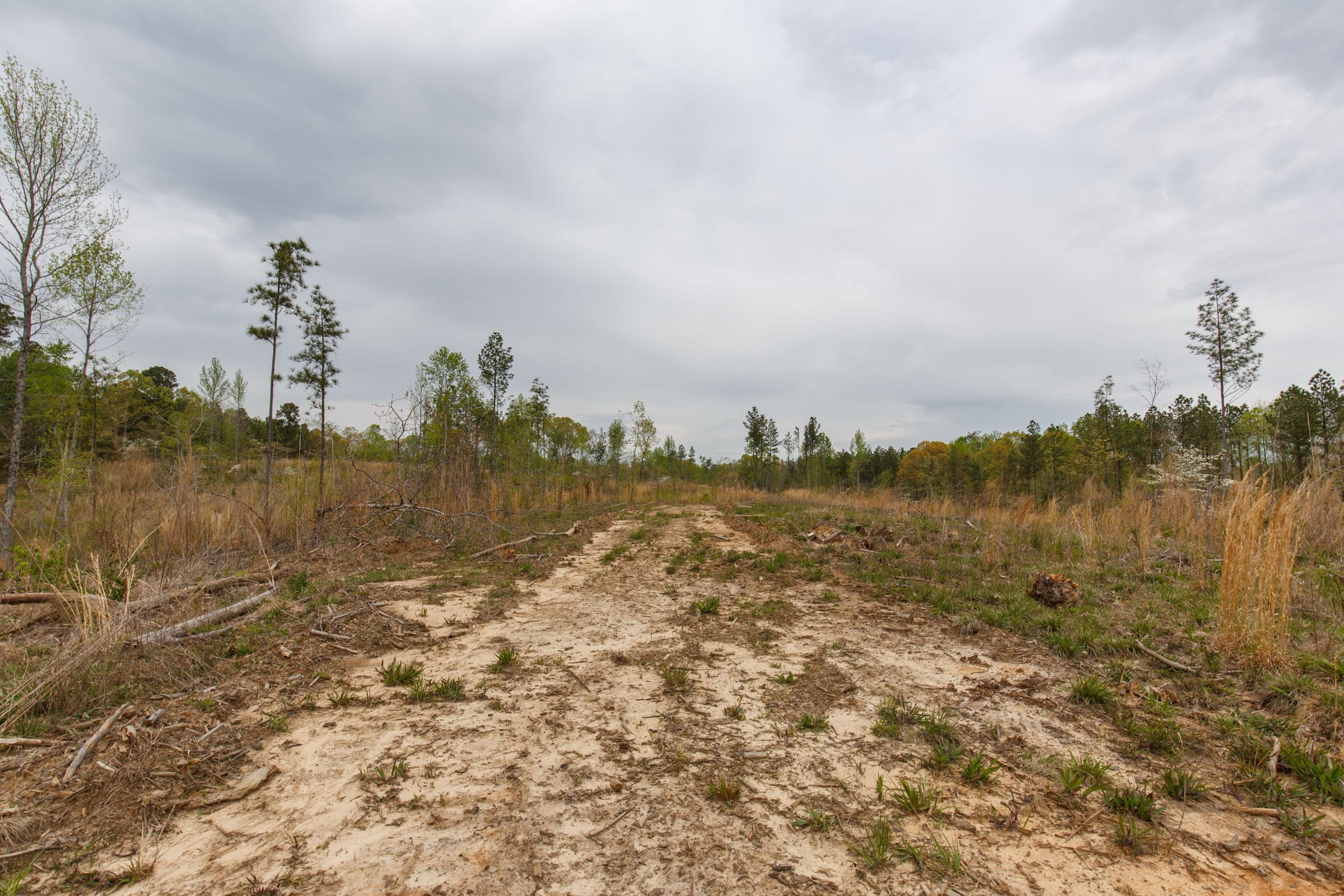 Twin Rivers Tract 13 photo 5