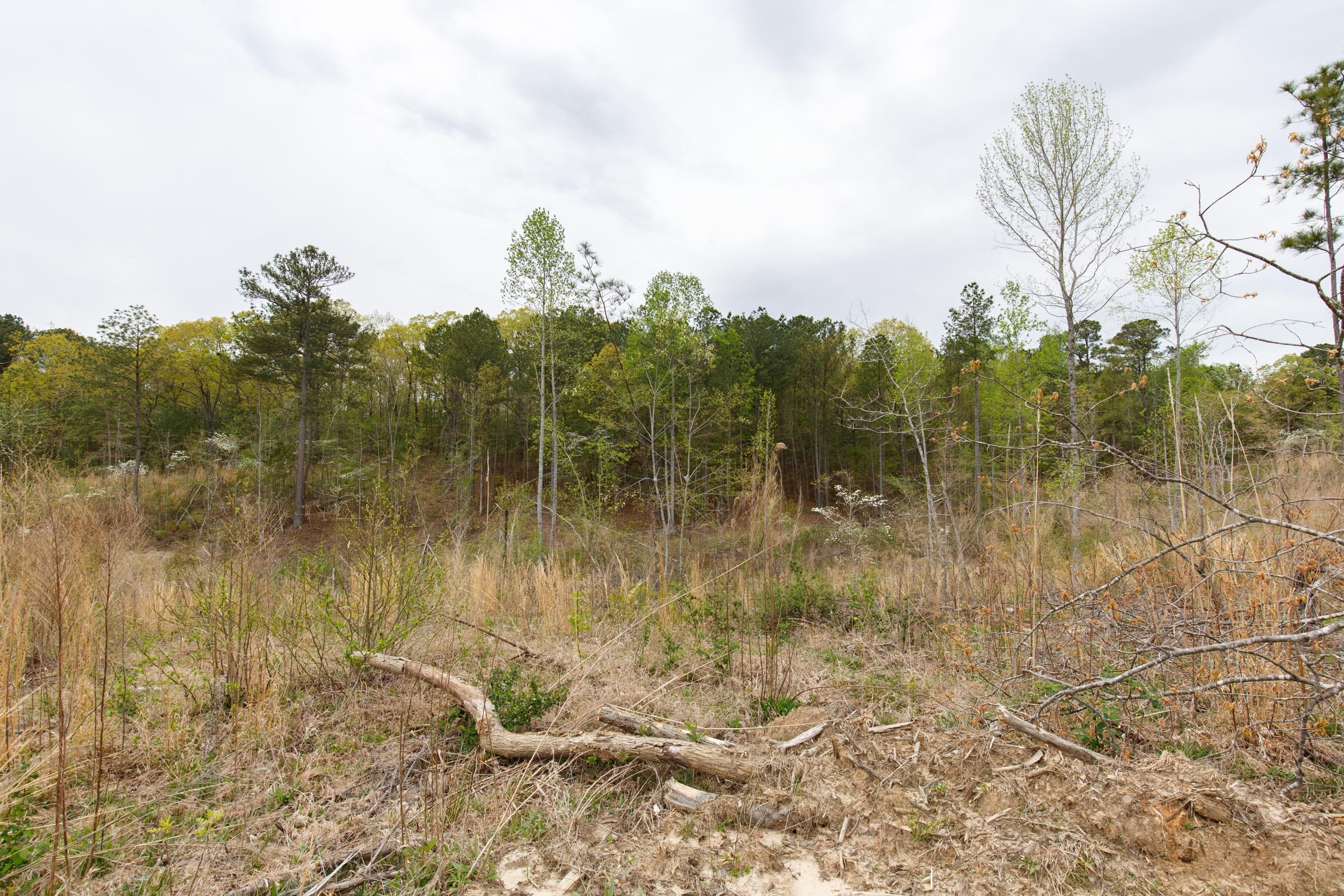 Twin Rivers Tract 13 photo 4