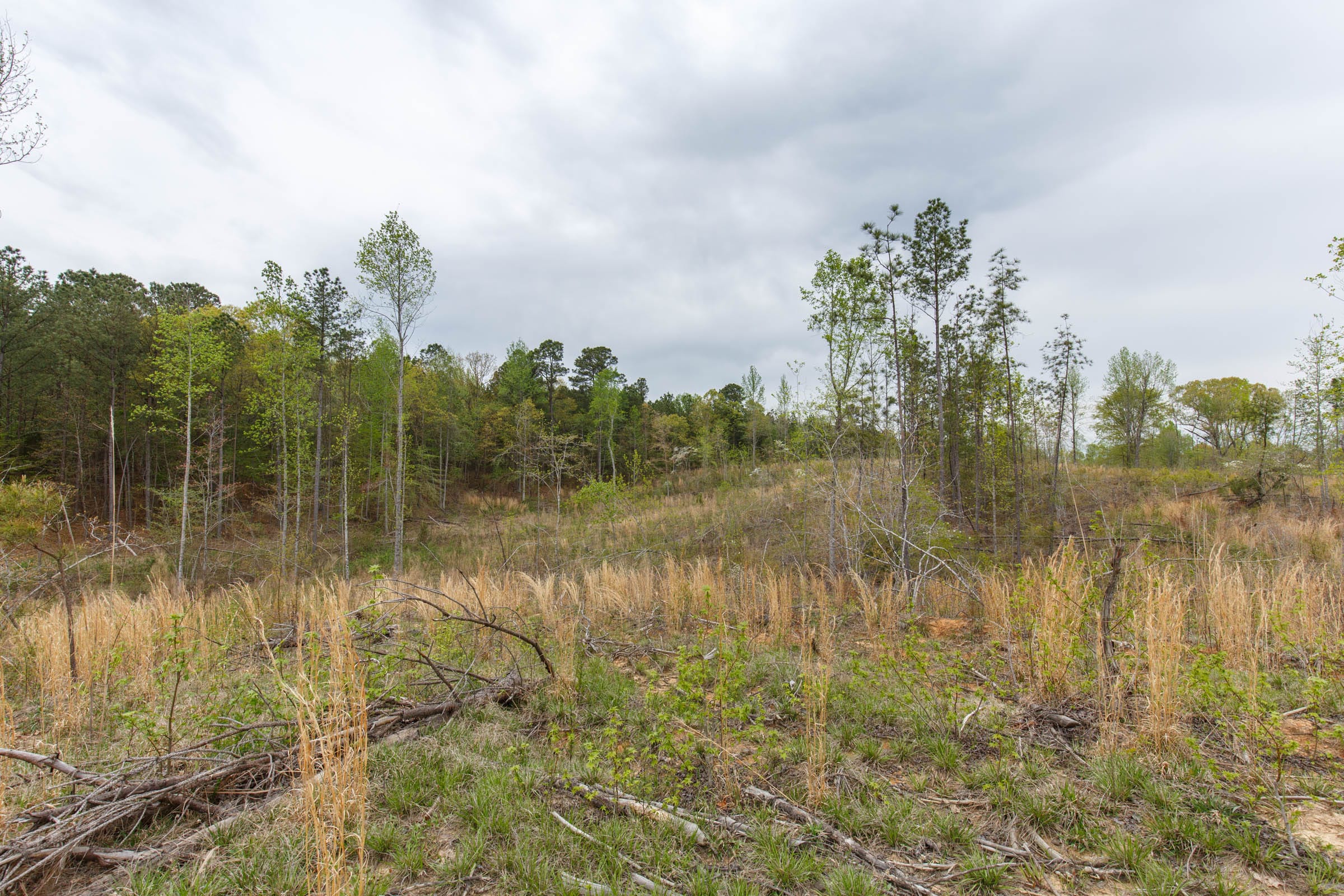 Twin Rivers Tract 13 photo 6