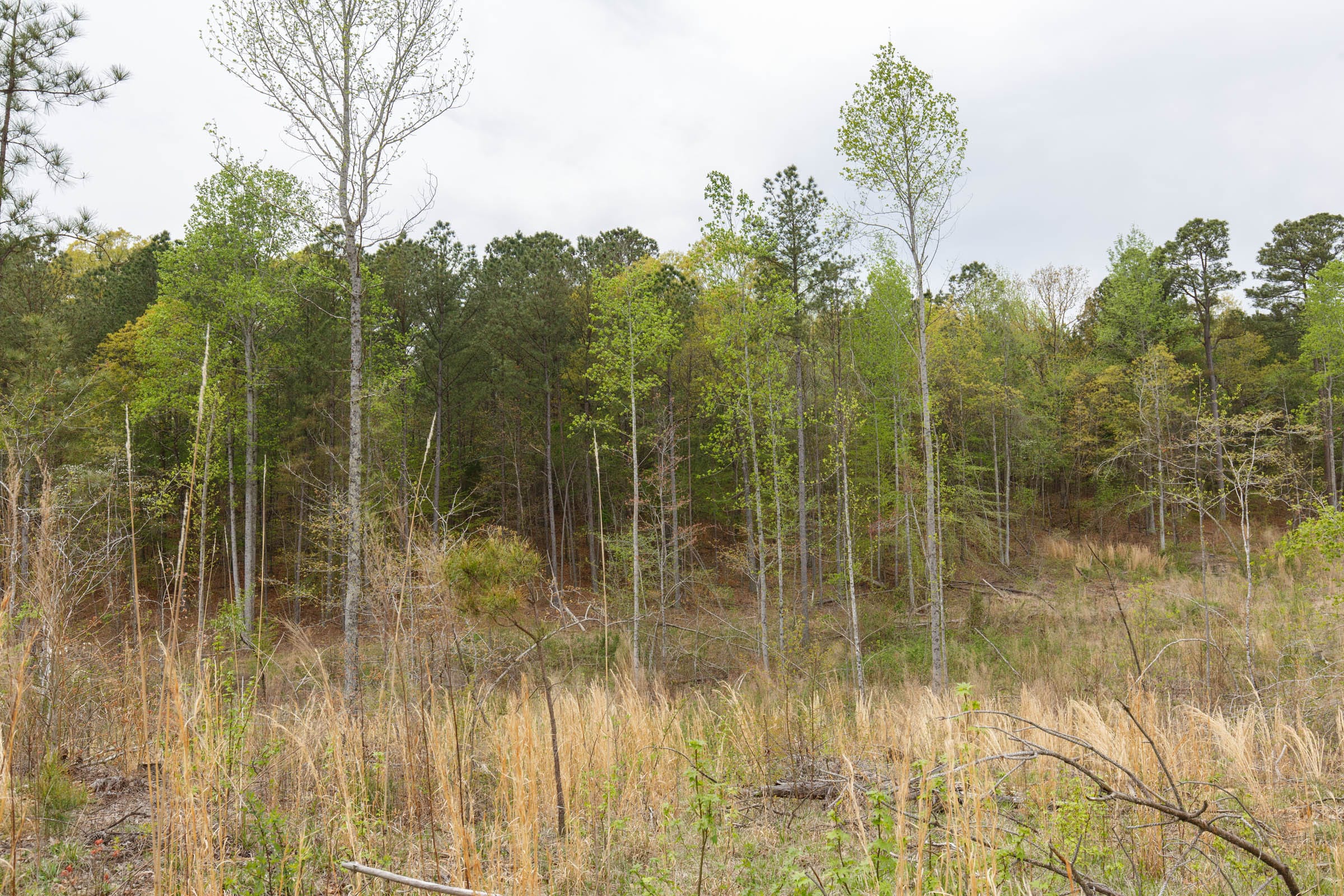 Twin Rivers Tract 13 photo 8