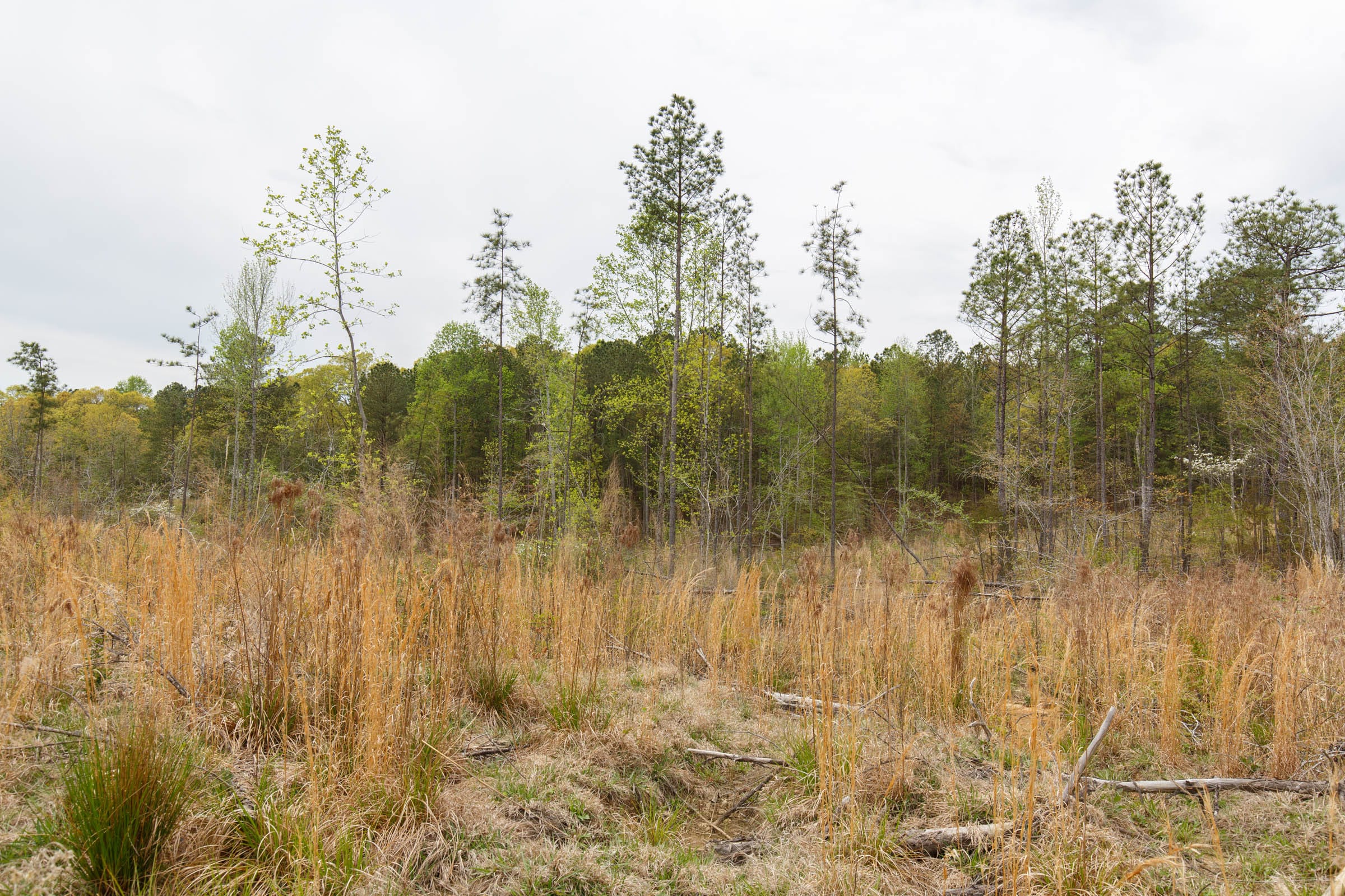 Twin Rivers Tract 13 photo 10