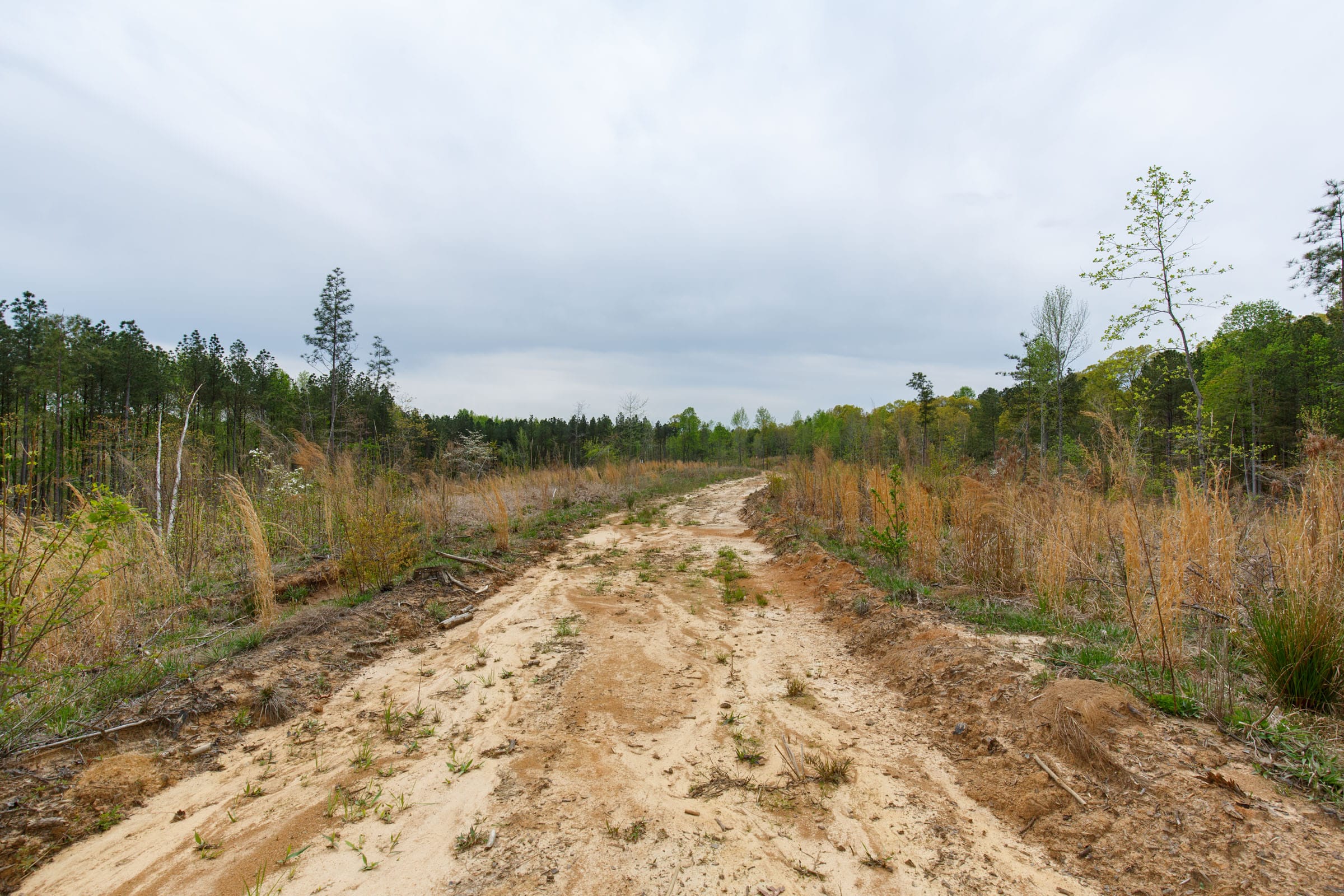 Twin Rivers Tract 13 photo 3