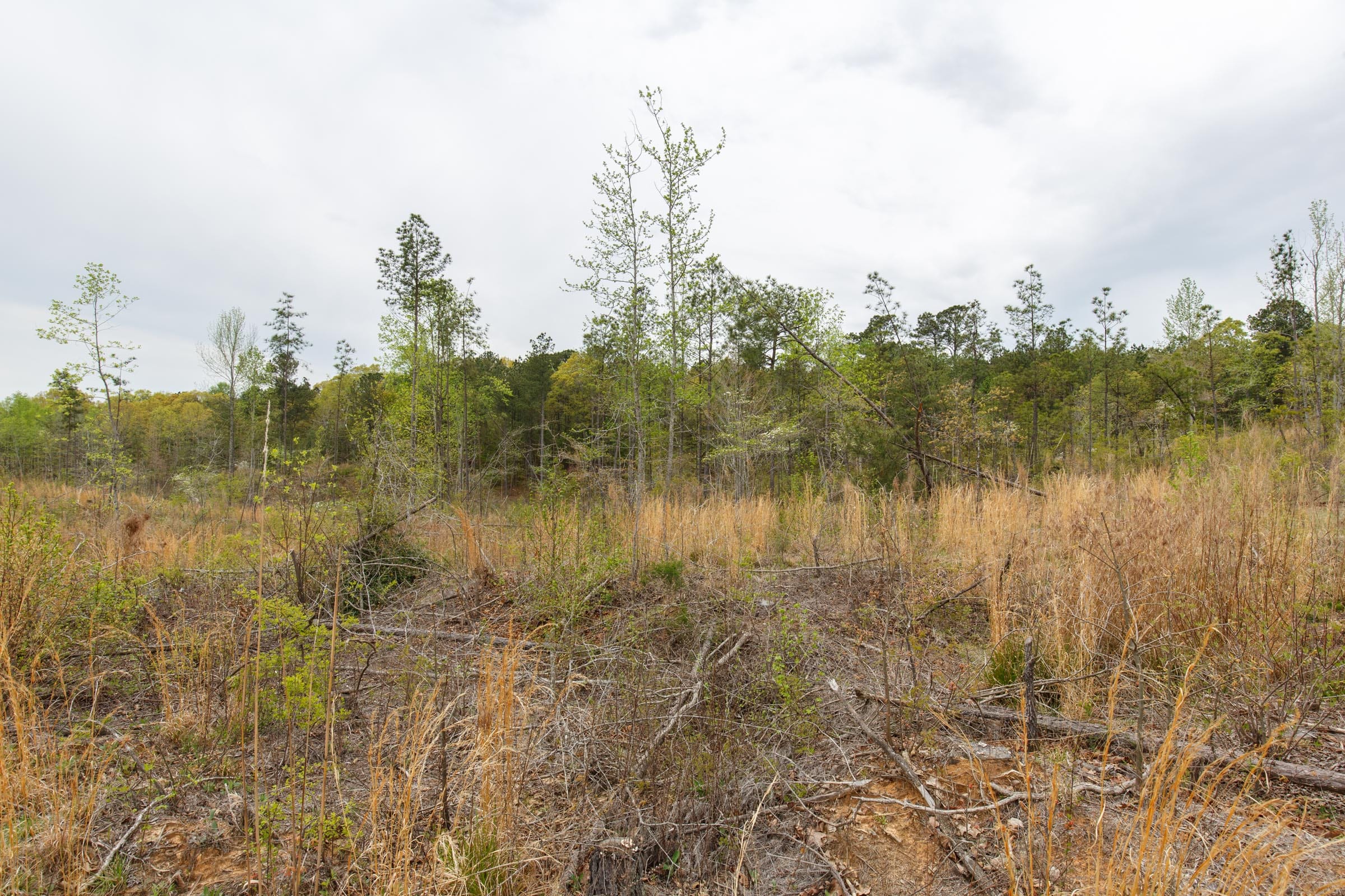Twin Rivers Tract 13 photo 12