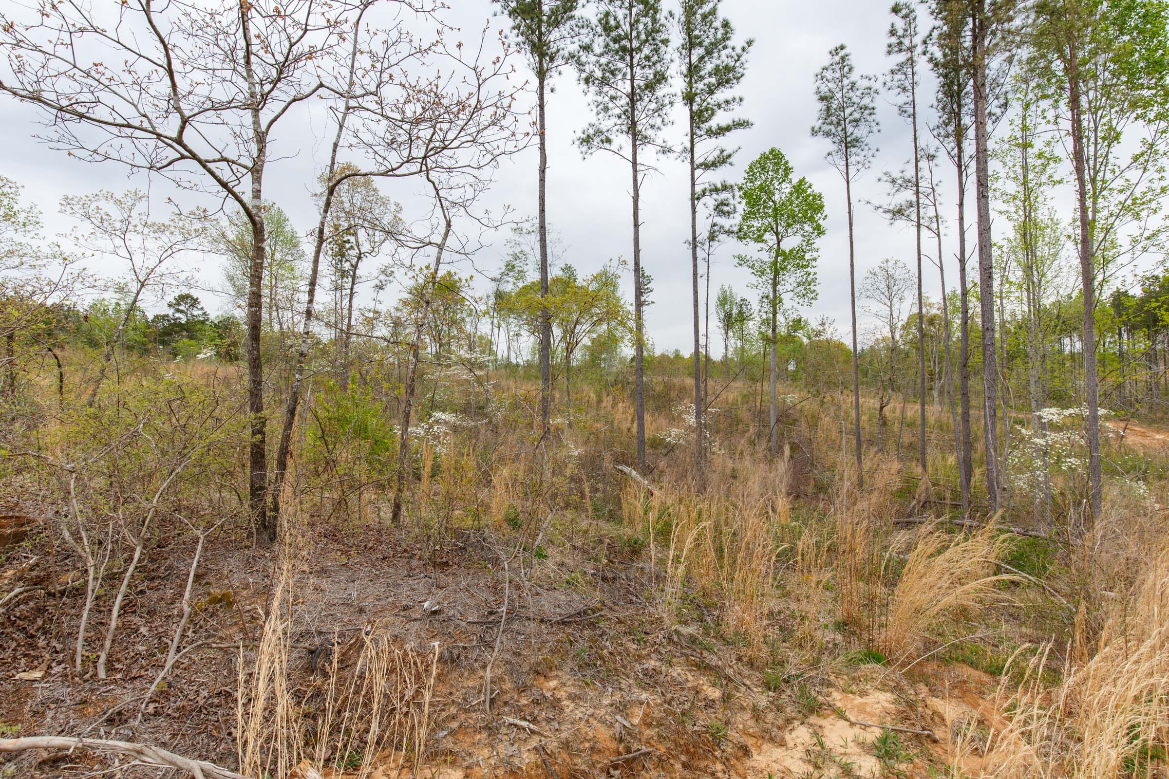 Twin Rivers Tract 13 photo 14