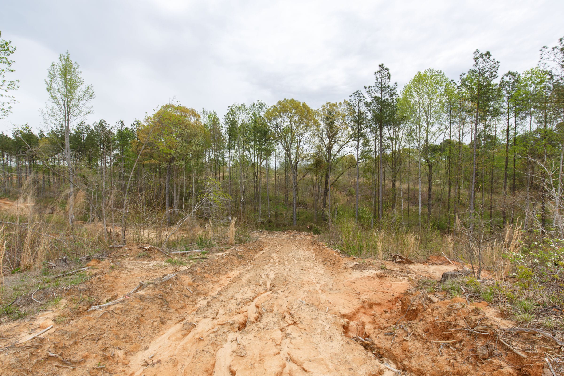 Twin Rivers Tract 13 photo 9