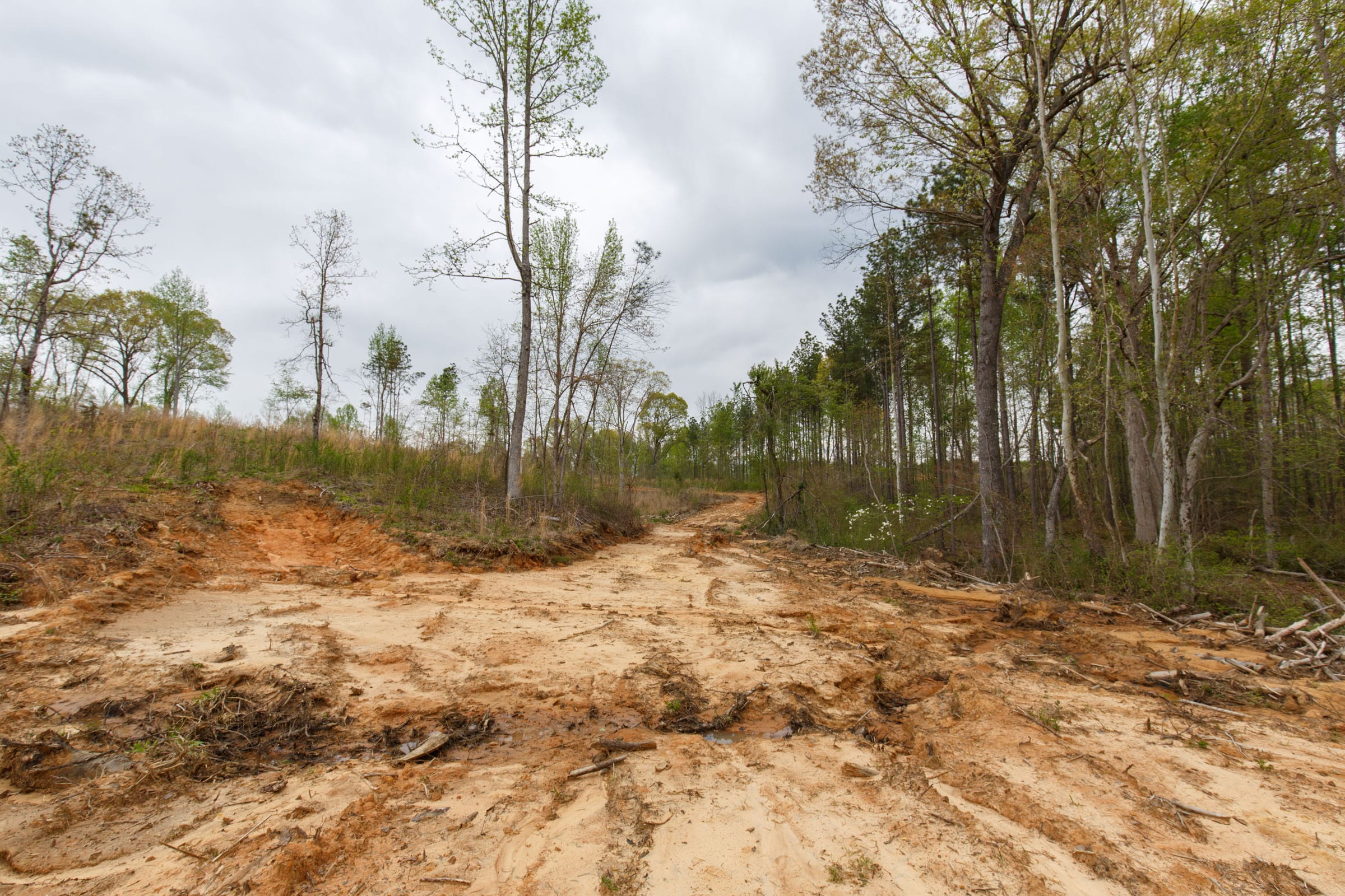 Twin Rivers Tract 13 photo 11
