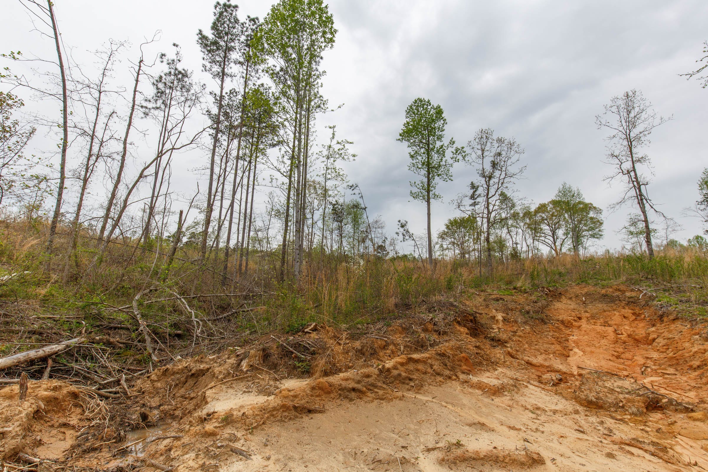 Twin Rivers Tract 13 photo 13