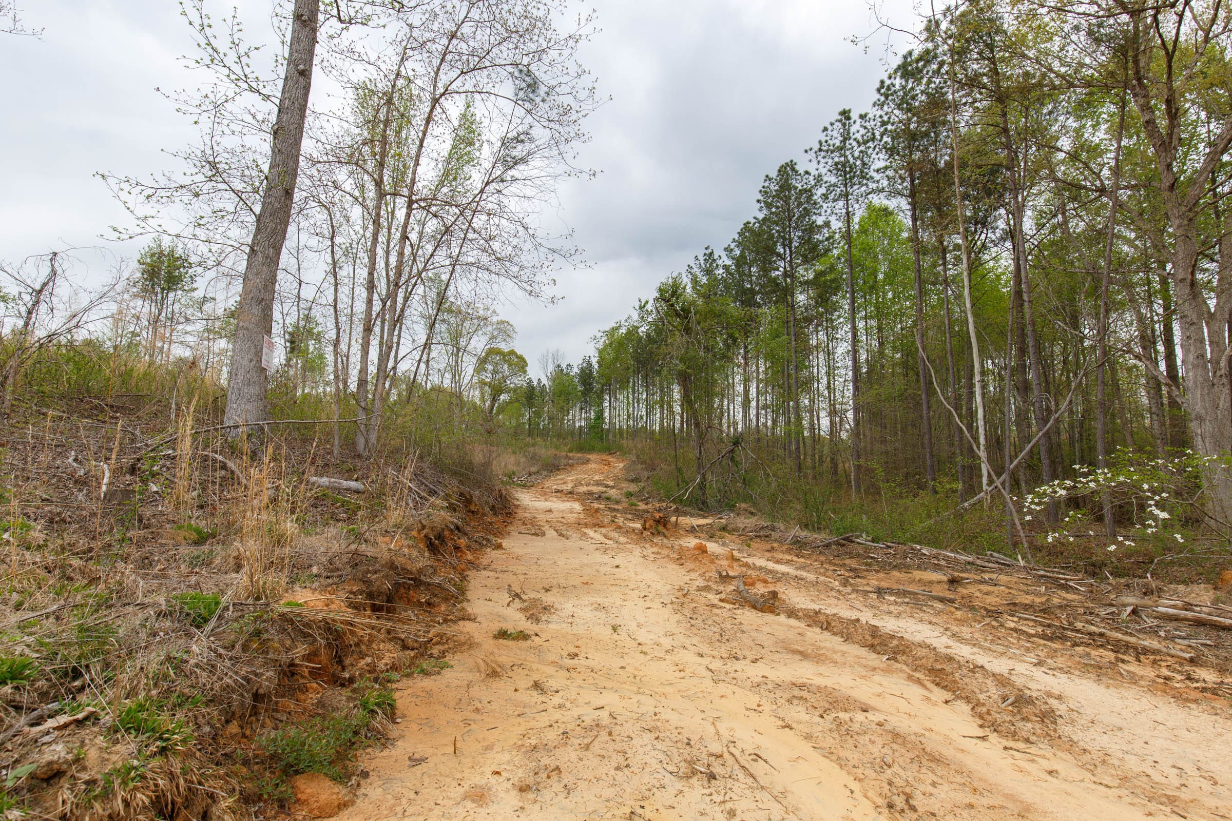 Twin Rivers Tract 13 photo 15