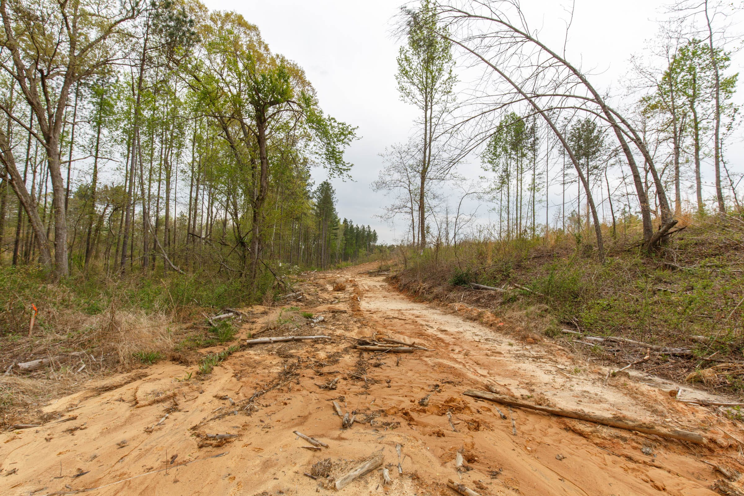 Twin Rivers Tract 13 photo 7