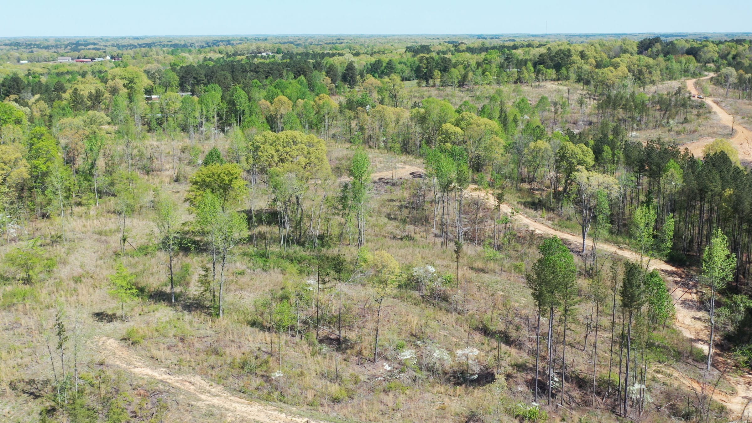Twin Rivers Tract 13 photo 16