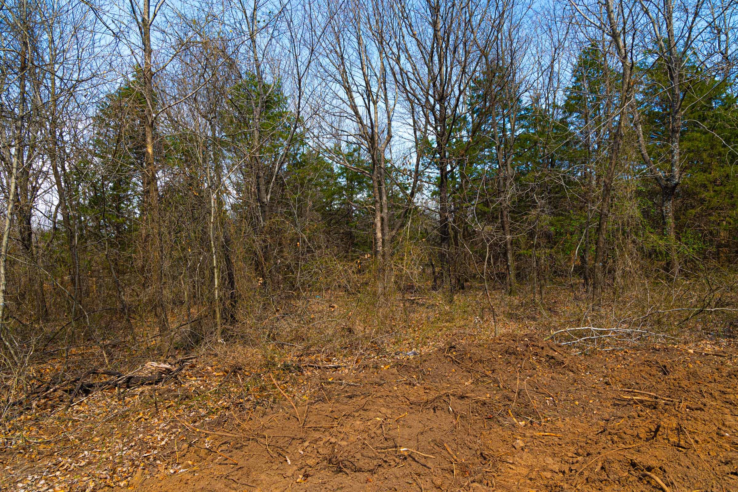 Reserves At Cattail Cove Phase I Tract 24 photo 20