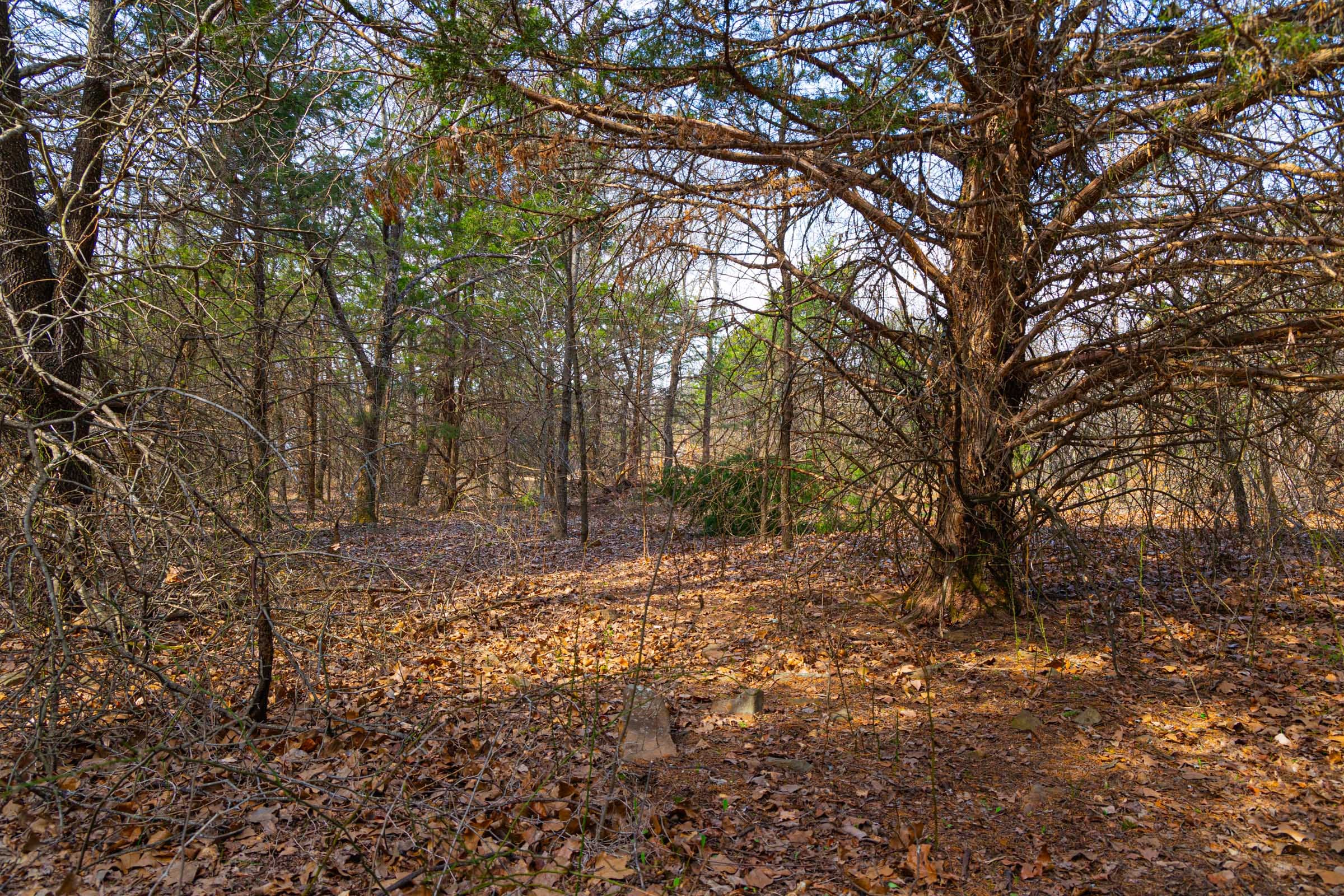Reserves At Cattail Cove Phase I Tract 24 photo 19