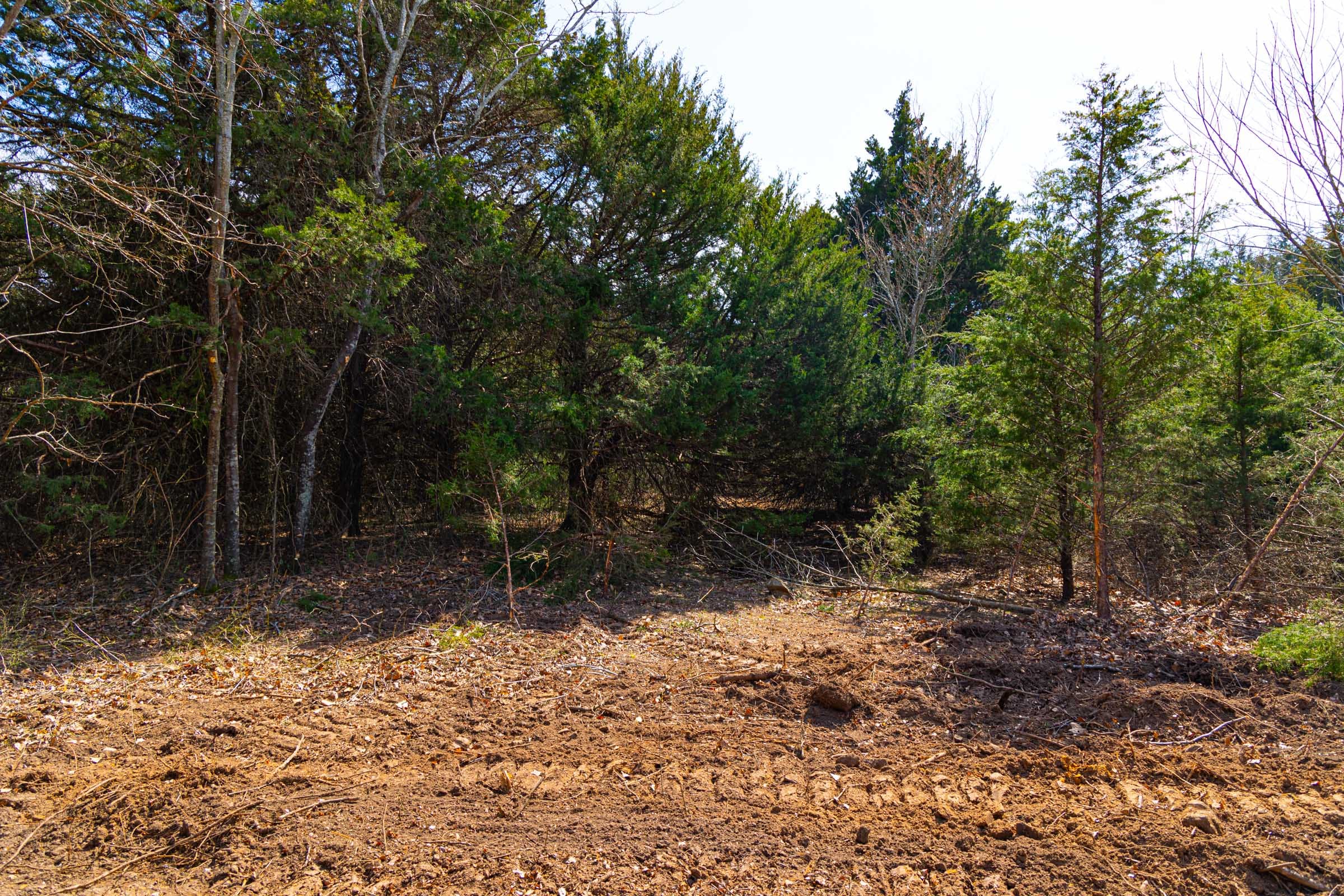 Reserves At Cattail Cove Phase I Tract 24 photo 5