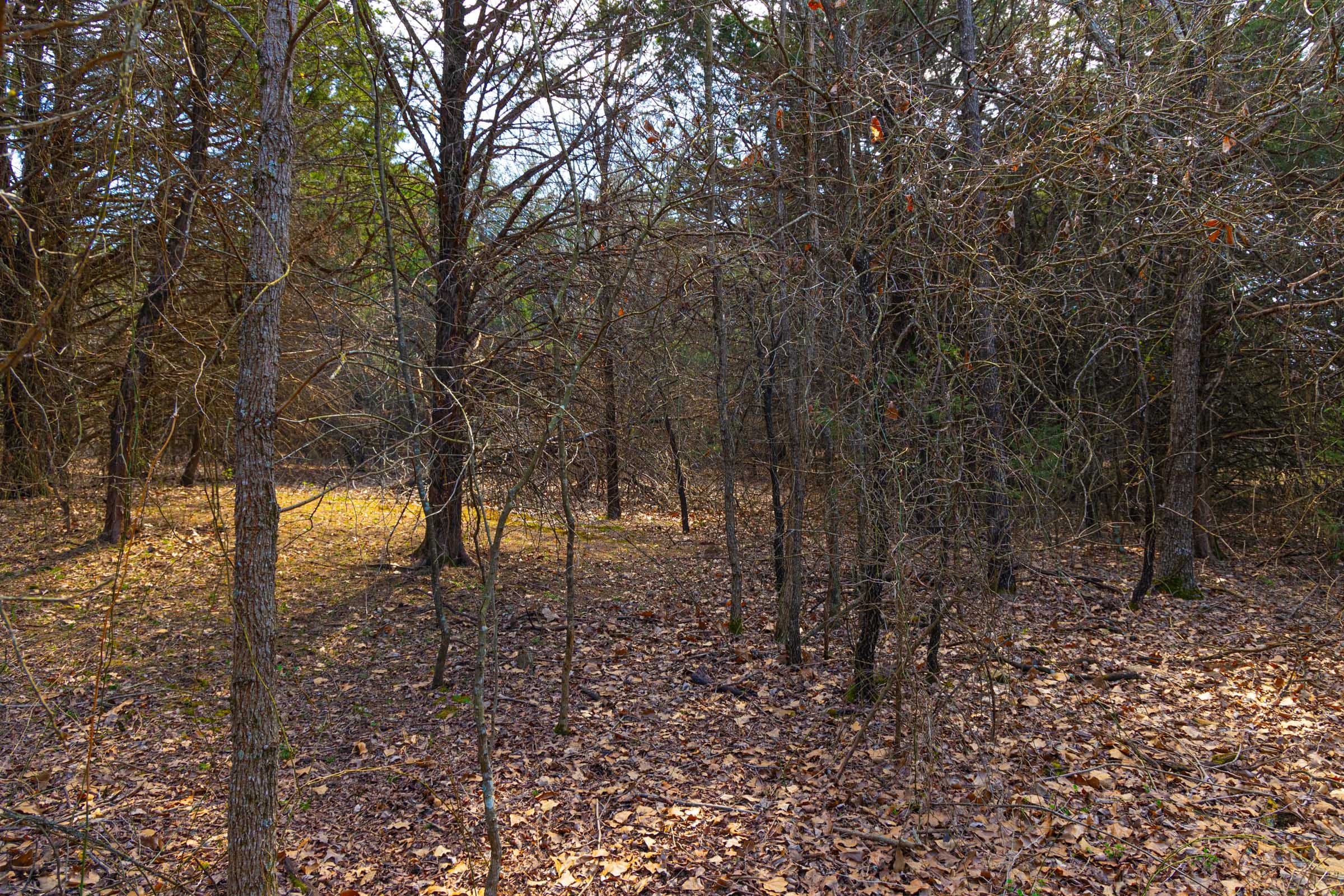 Reserves At Cattail Cove Phase I Tract 24 photo 16