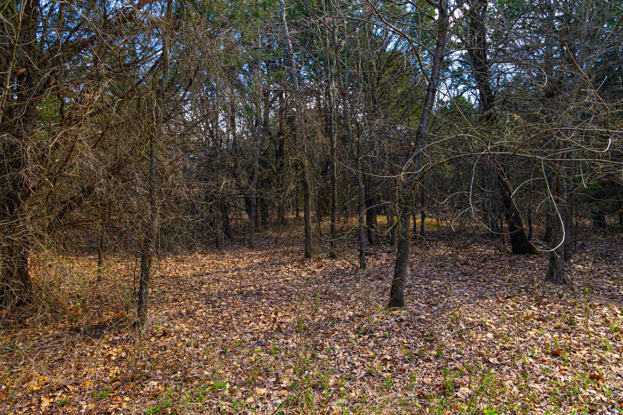 Reserves At Cattail Cove Phase I Tract 24 photo 1