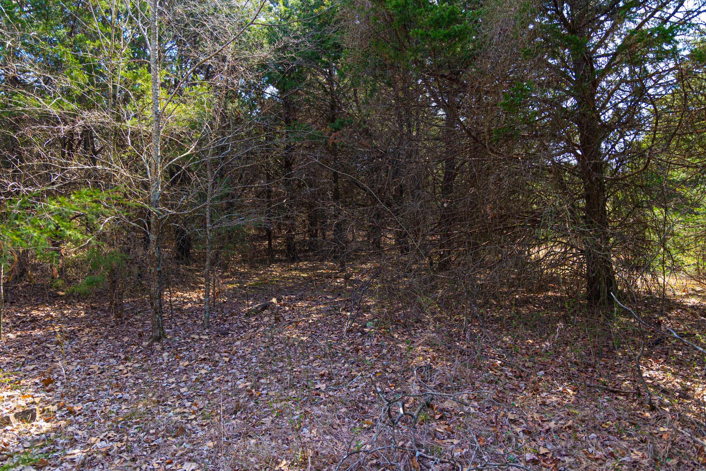 Reserves At Cattail Cove Phase I Tract 24 photo 15