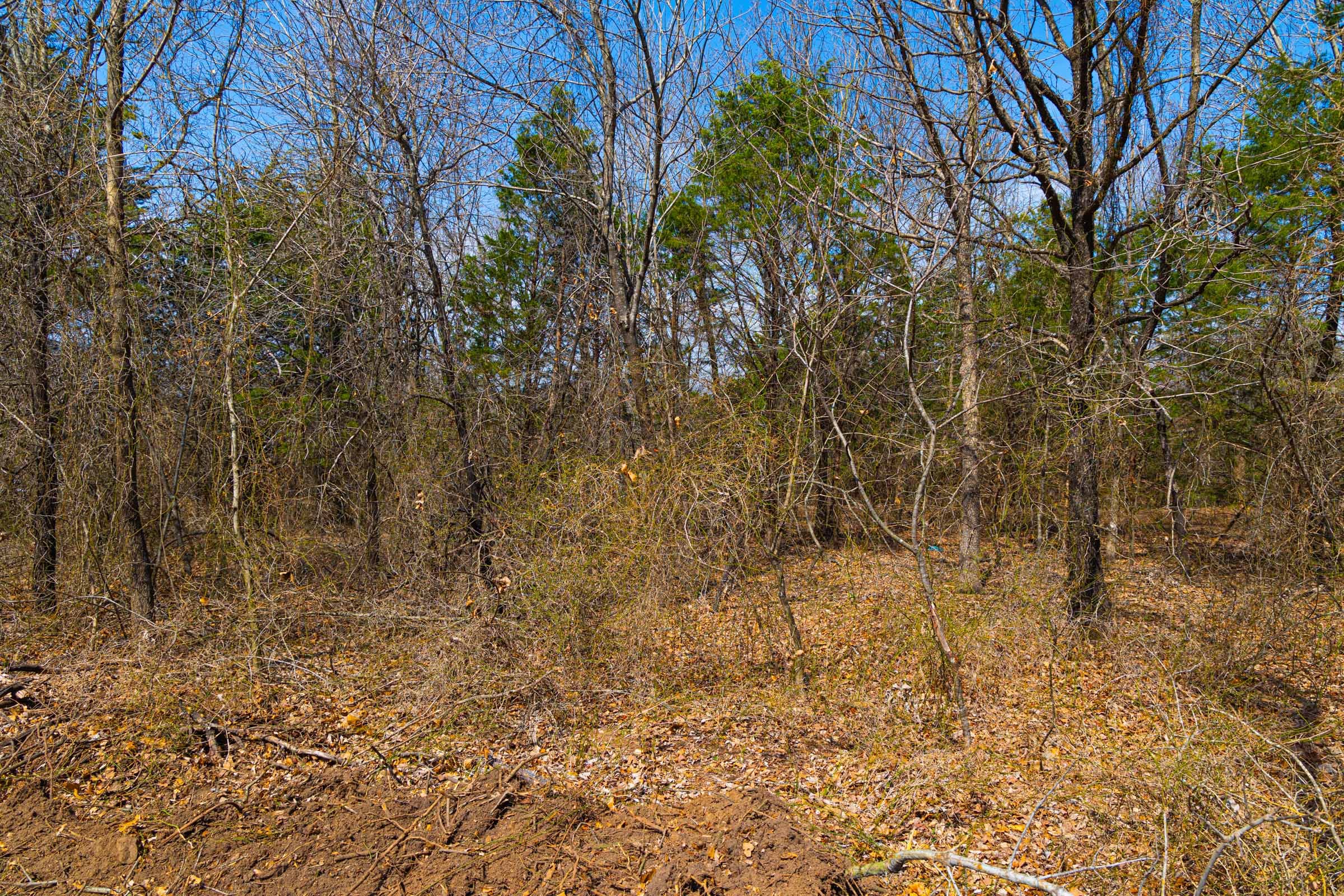 Reserves At Cattail Cove Phase I Tract 24 photo 13