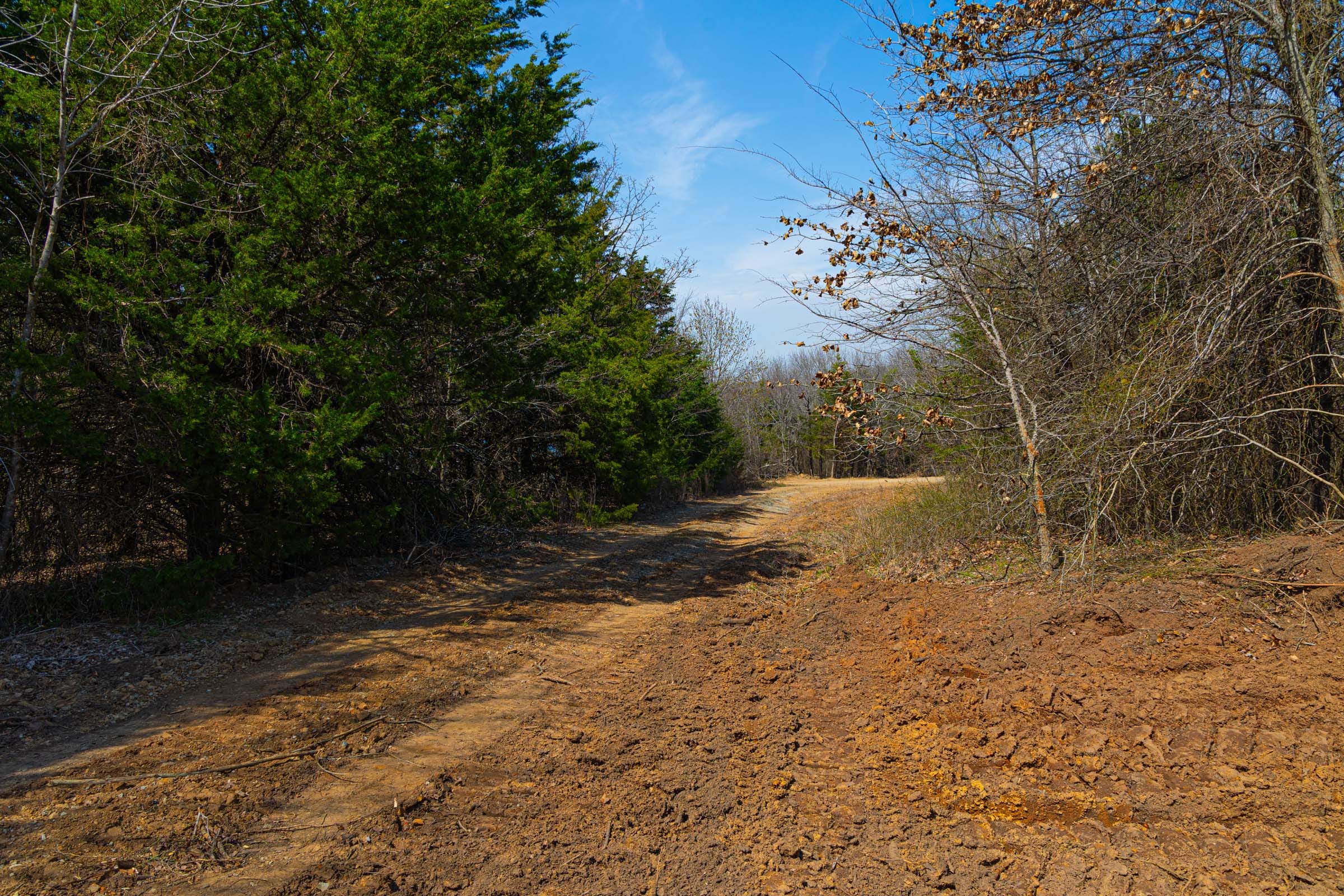 Reserves At Cattail Cove Phase I Tract 24 photo 3