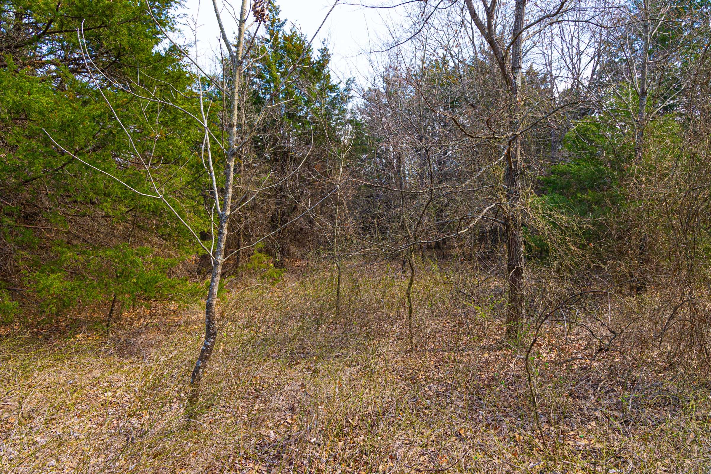 Reserves At Cattail Cove Phase I Tract 24 photo 9