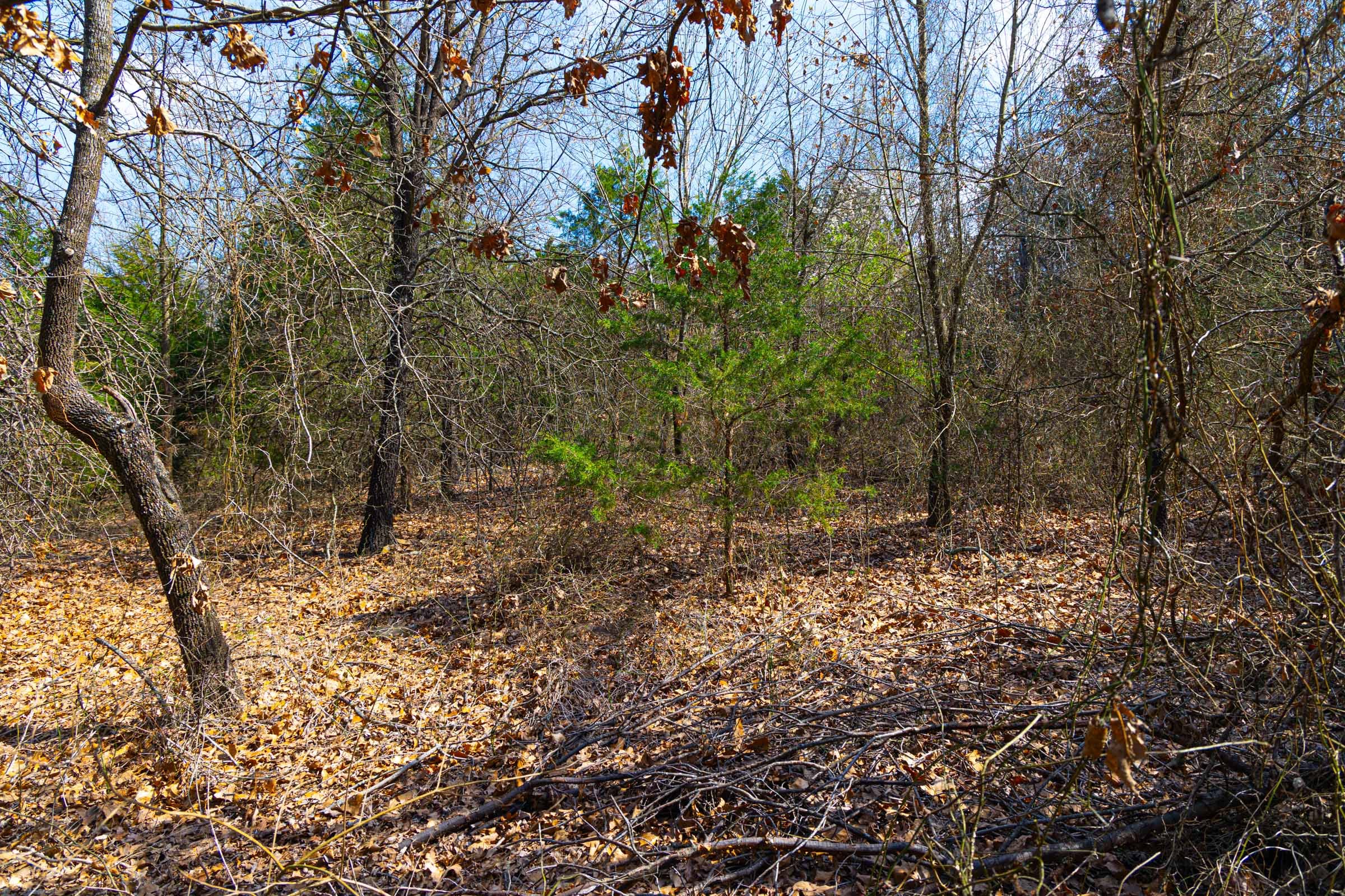 Reserves At Cattail Cove Phase I Tract 24 photo 8