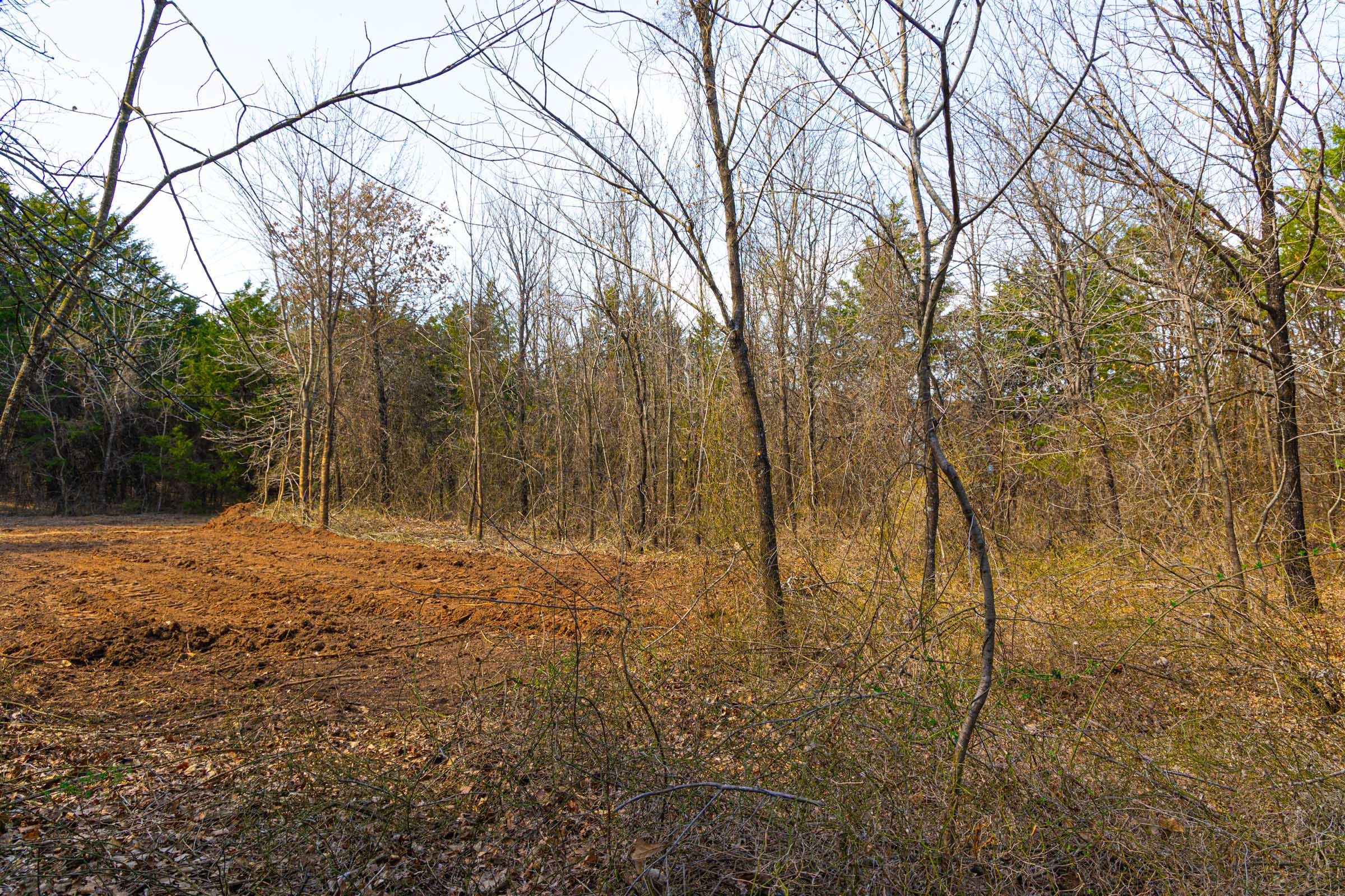 Reserves At Cattail Cove Phase I Tract 24 photo 7