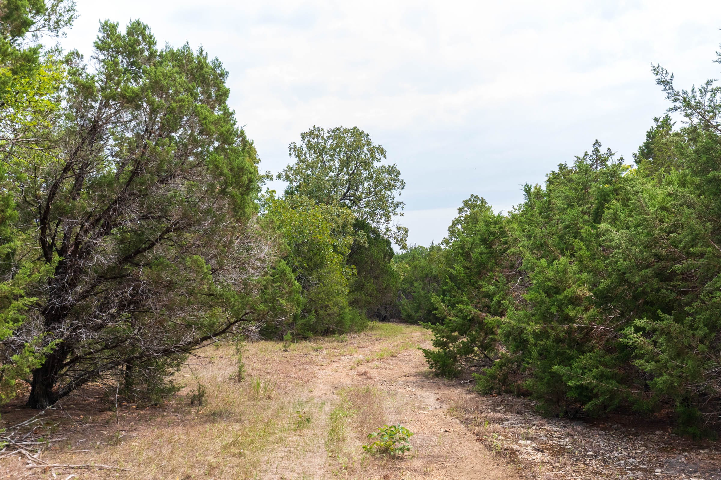 Heritage Bend Tract 24 photo 2