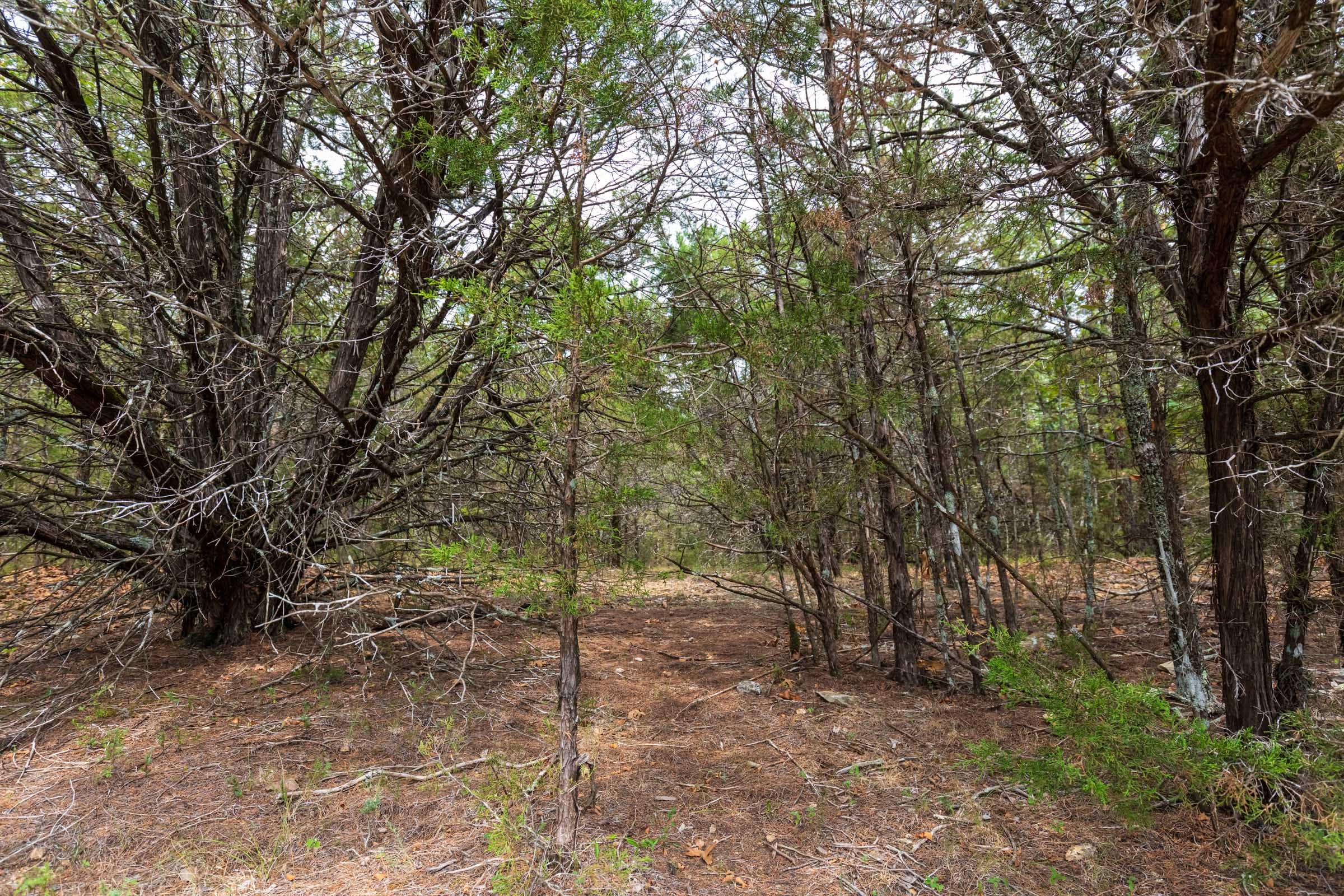 Heritage Bend Tract 24 photo 4