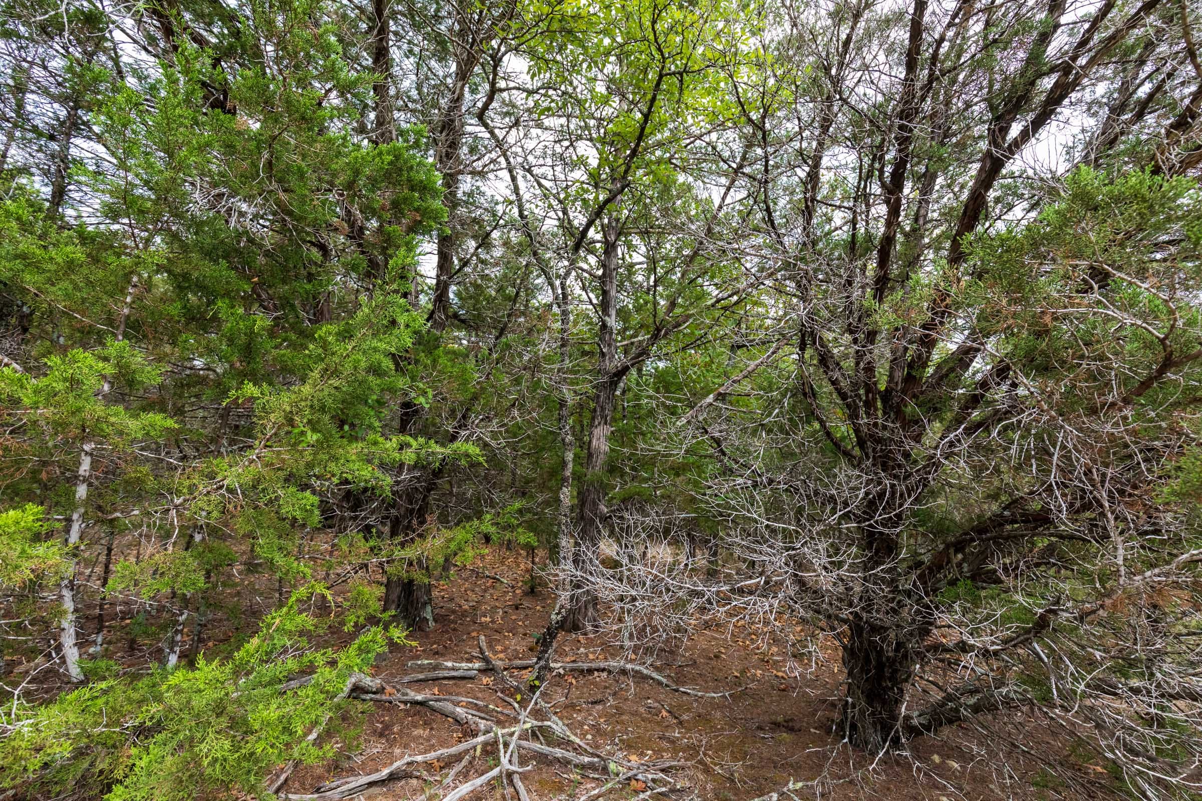 Heritage Bend Tract 24 photo 5
