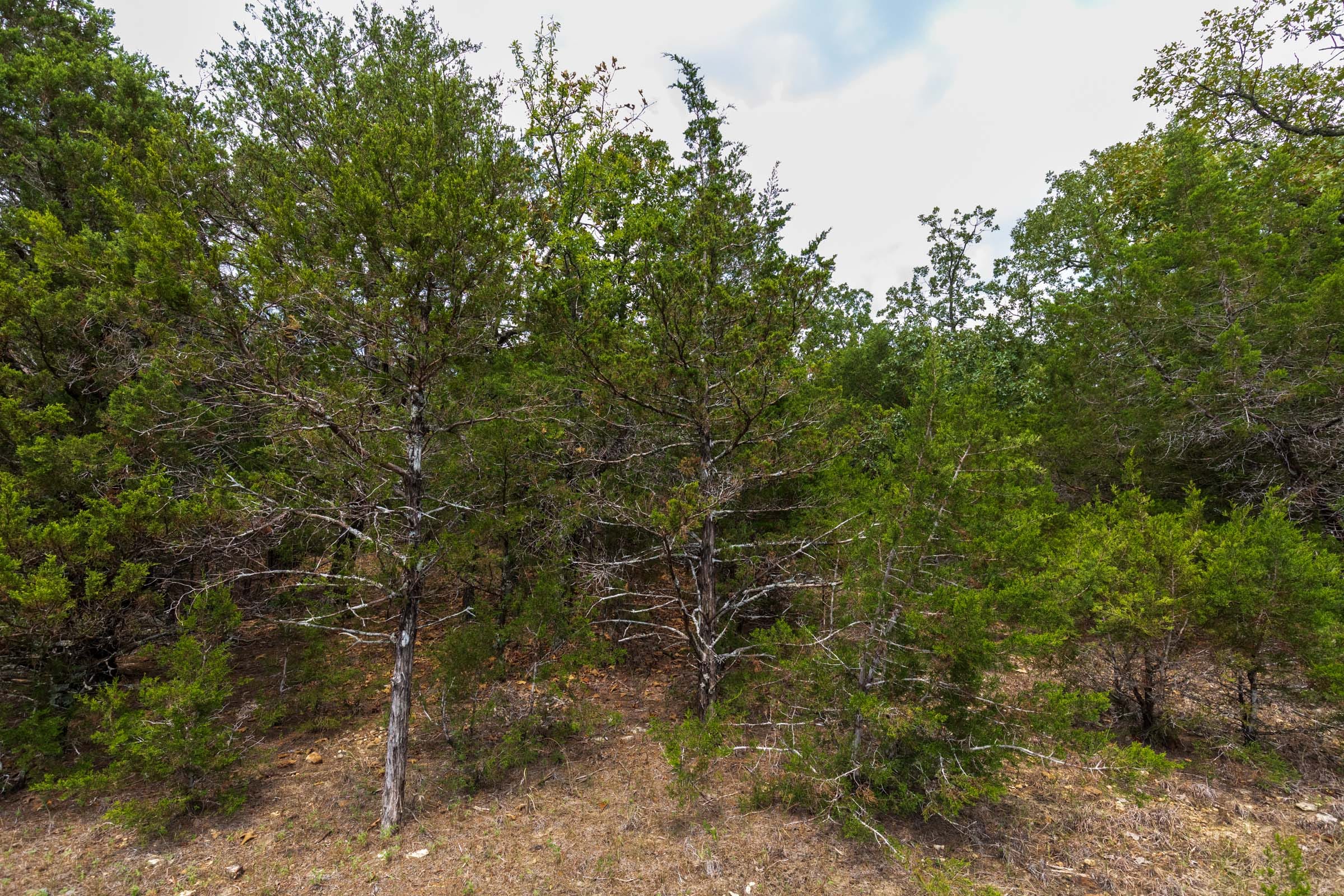 Heritage Bend Tract 24 photo 6