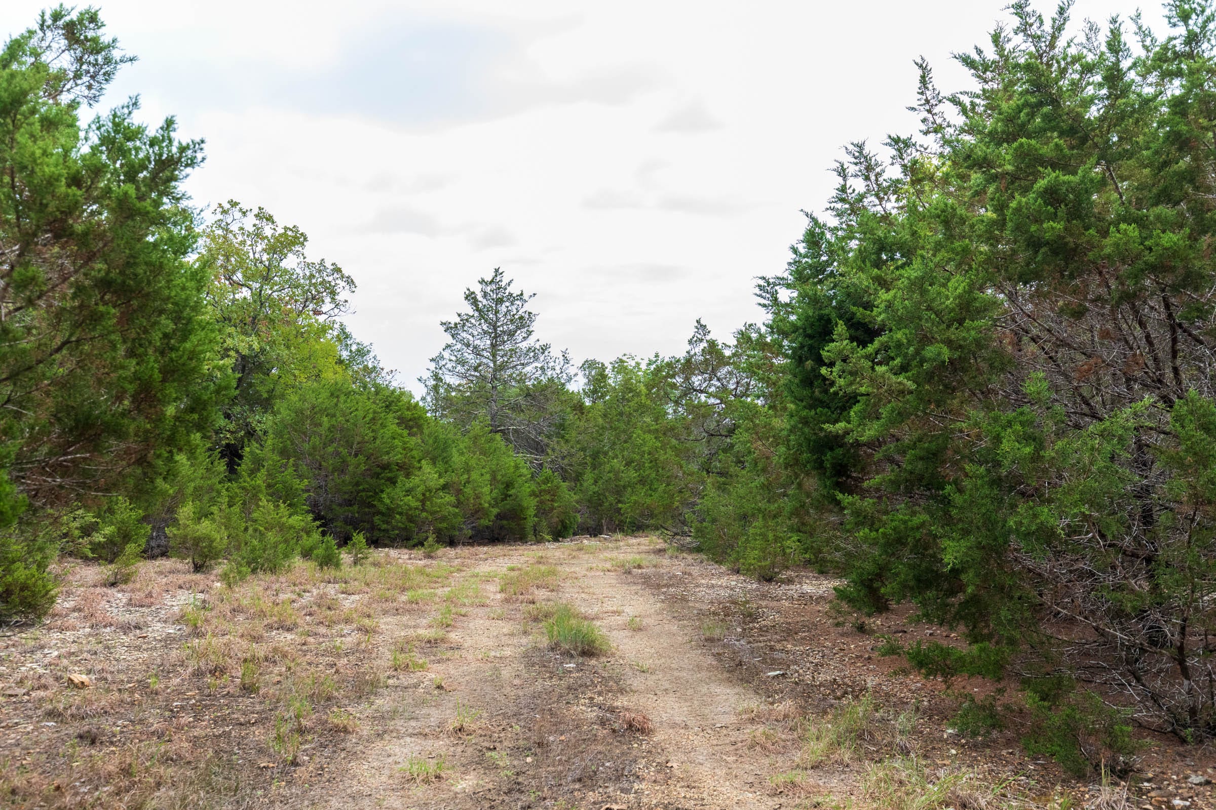 Heritage Bend Tract 24 photo 7