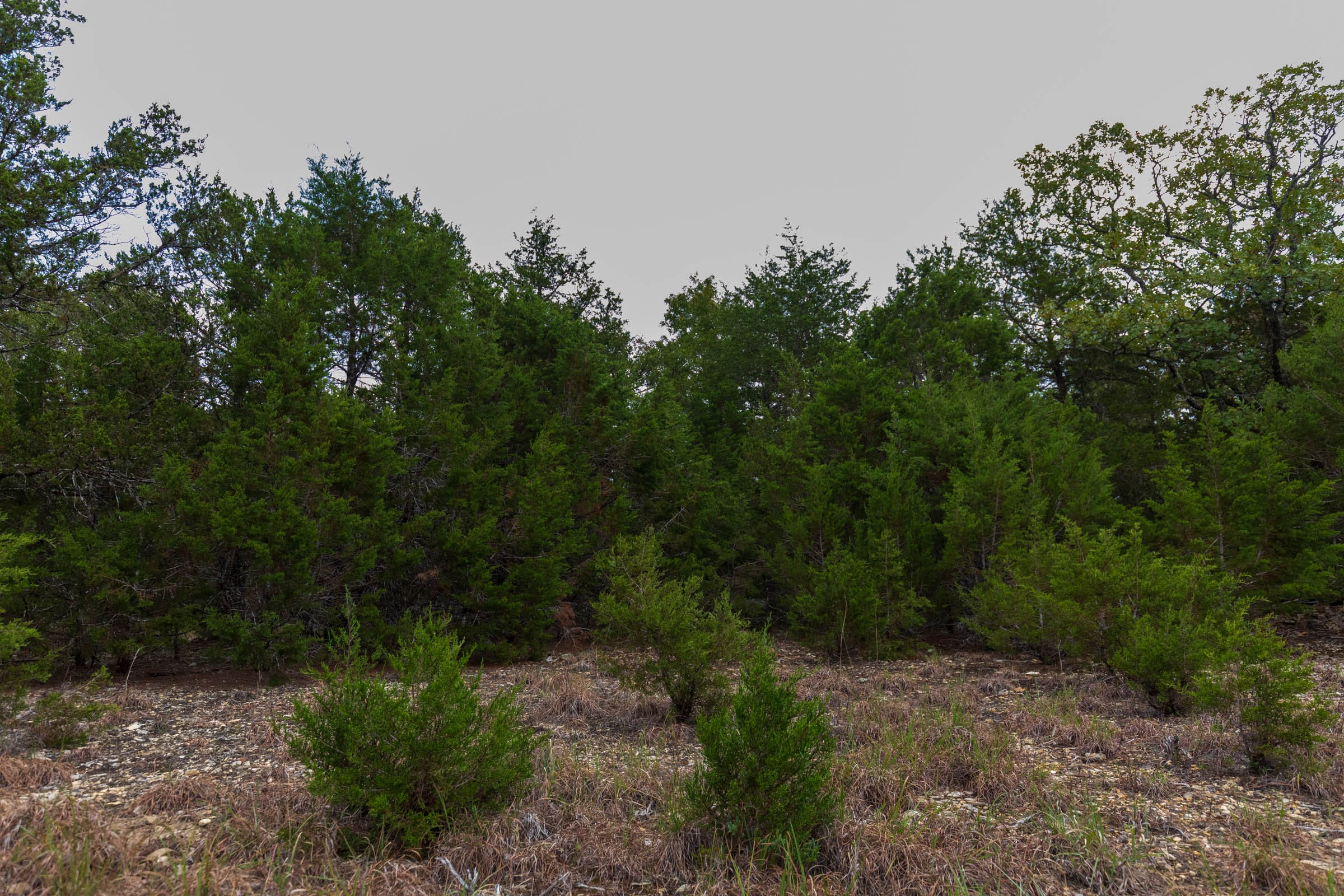 Heritage Bend Tract 24 photo 8