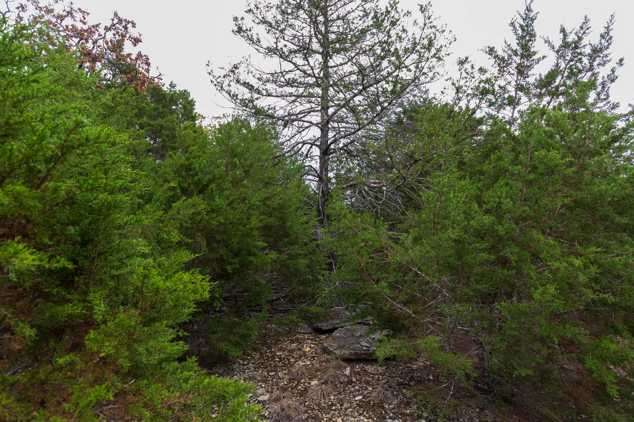 Heritage Bend Tract 24 photo 9