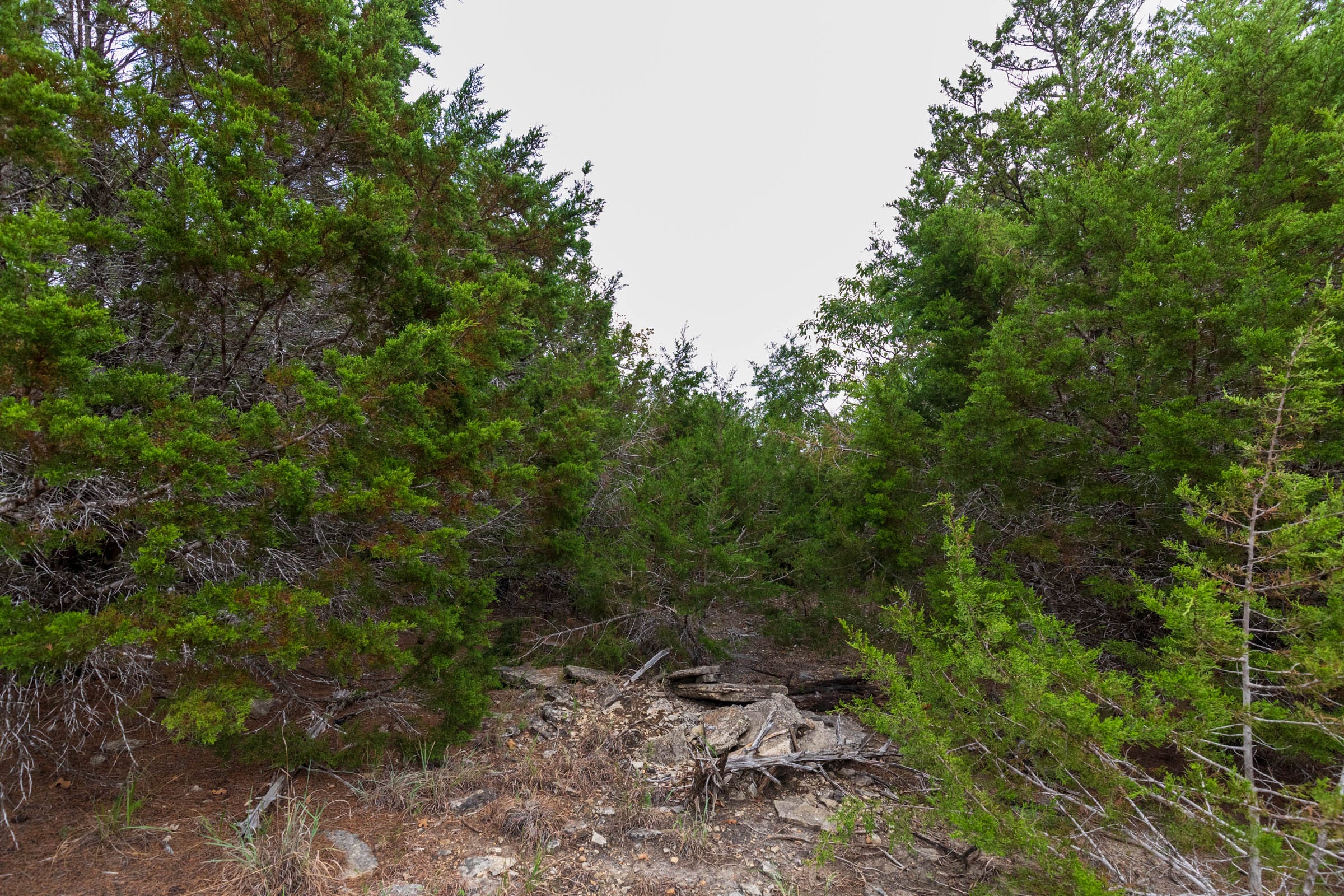 Heritage Bend Tract 24 photo 10