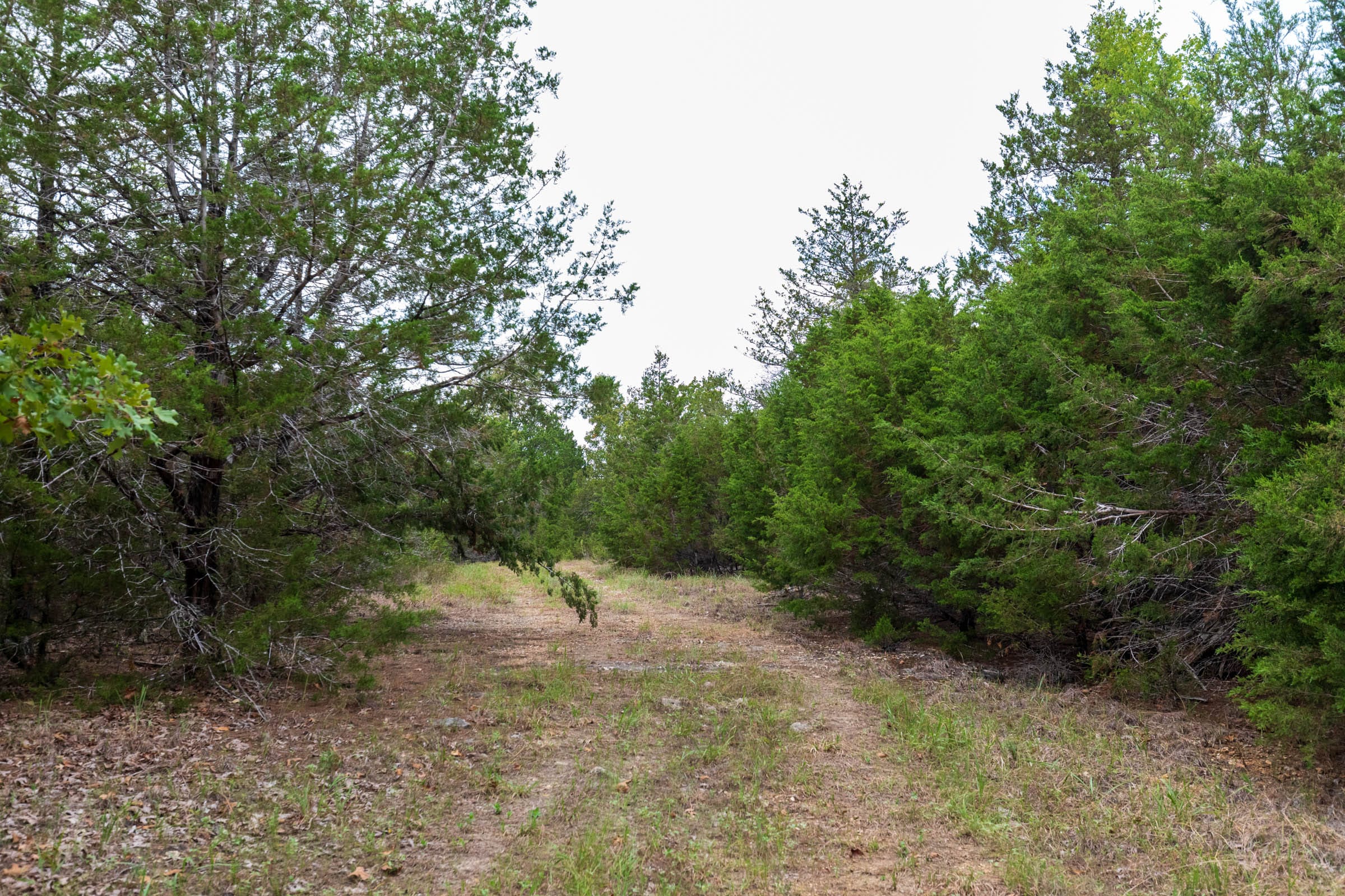 Heritage Bend Tract 24 photo 12