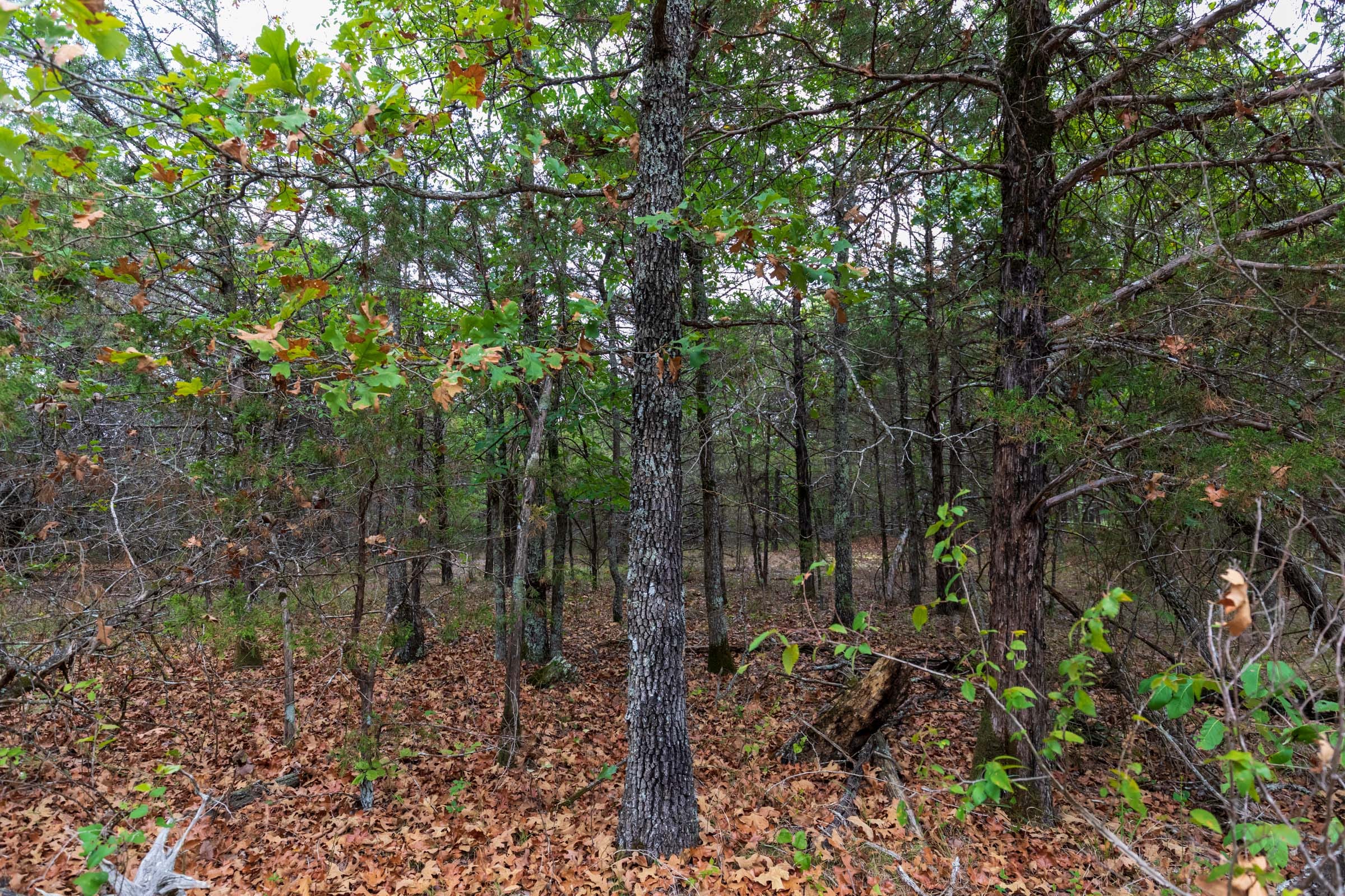 Heritage Bend Tract 24 photo 14