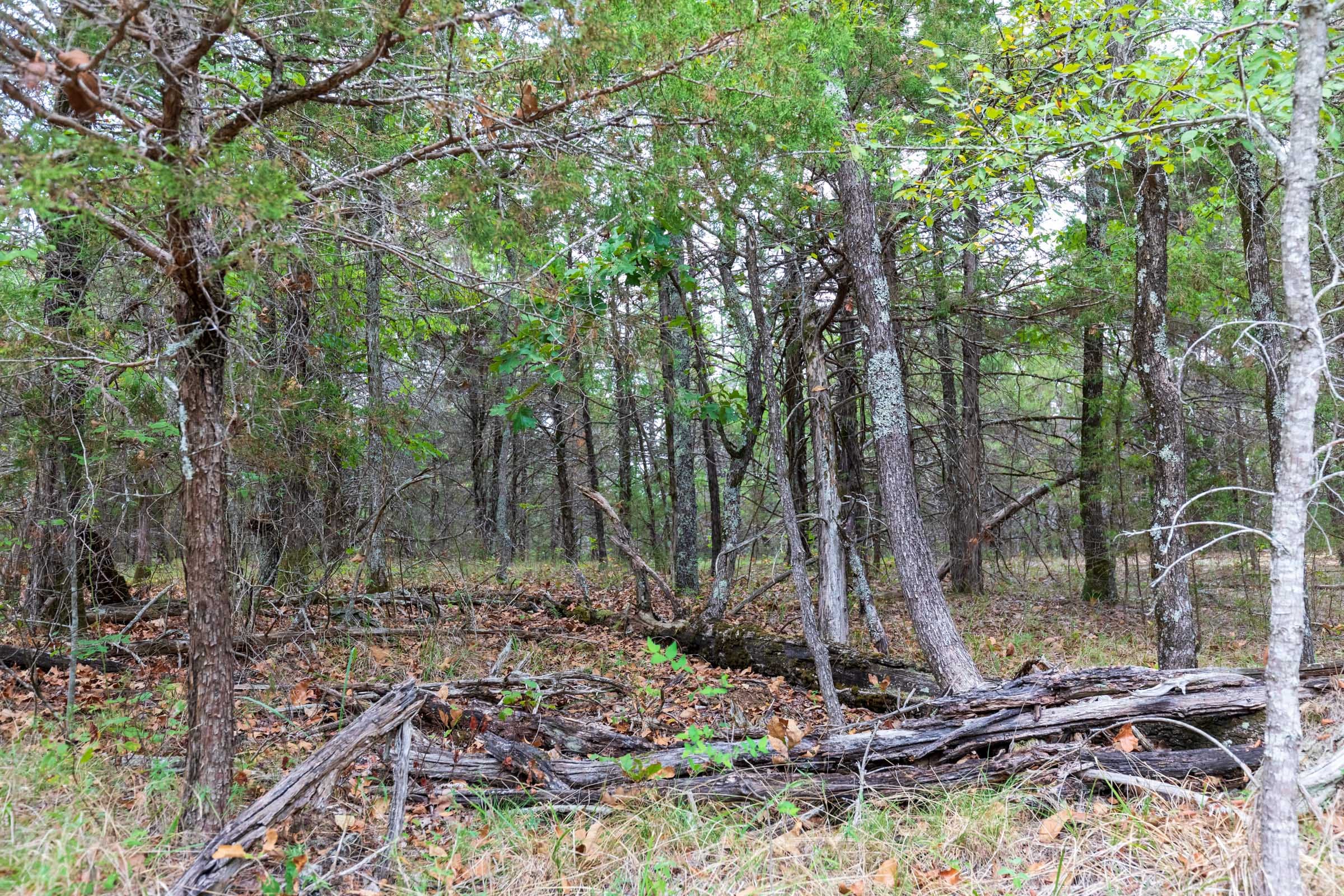 Heritage Bend Tract 24 photo 15