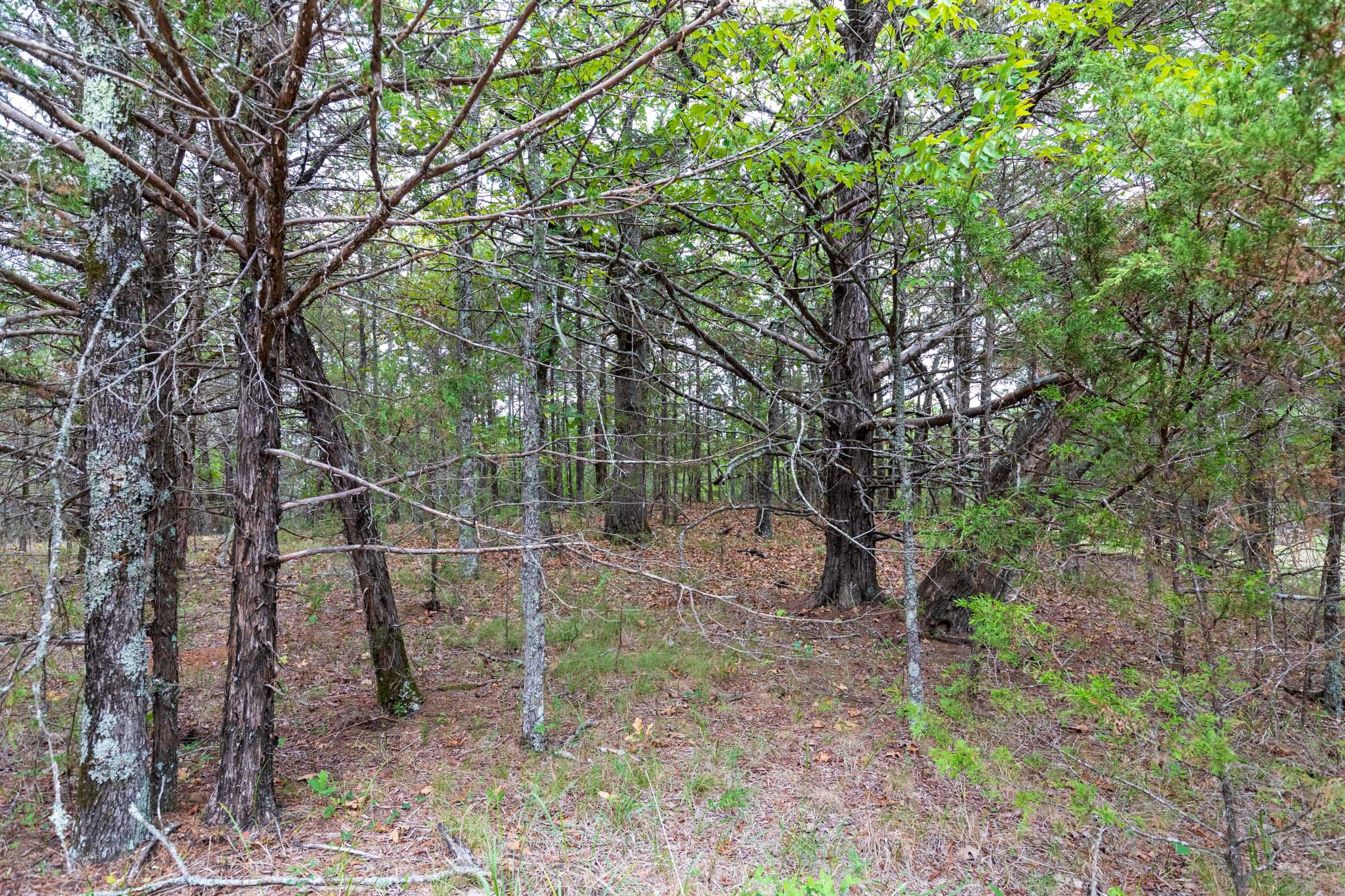 Heritage Bend Tract 24 photo 16