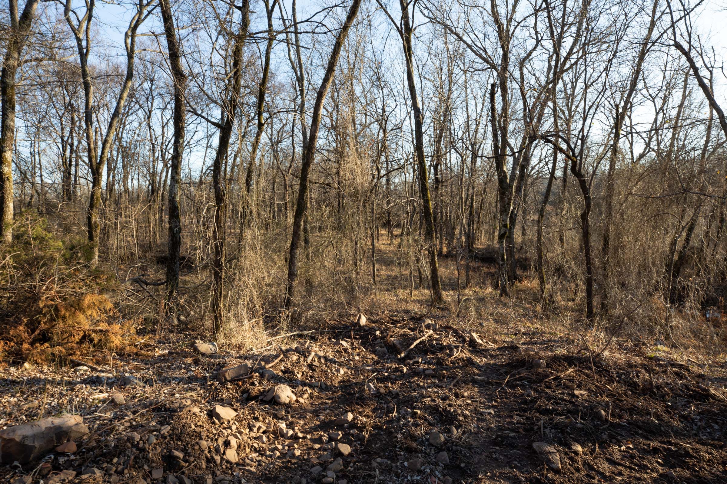 Painted Horse Tract 36 photo 1