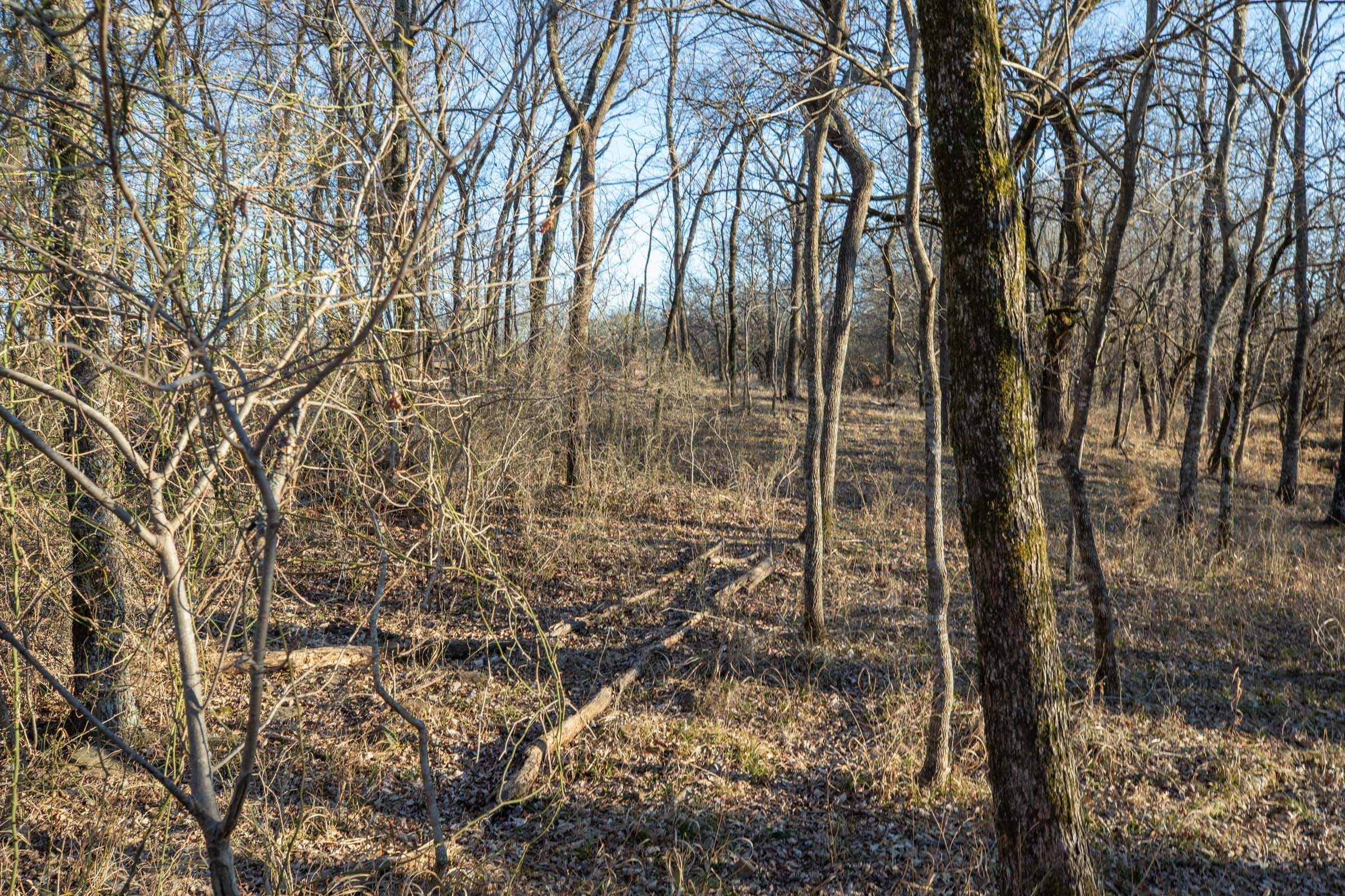 Painted Horse Tract 36 photo 2