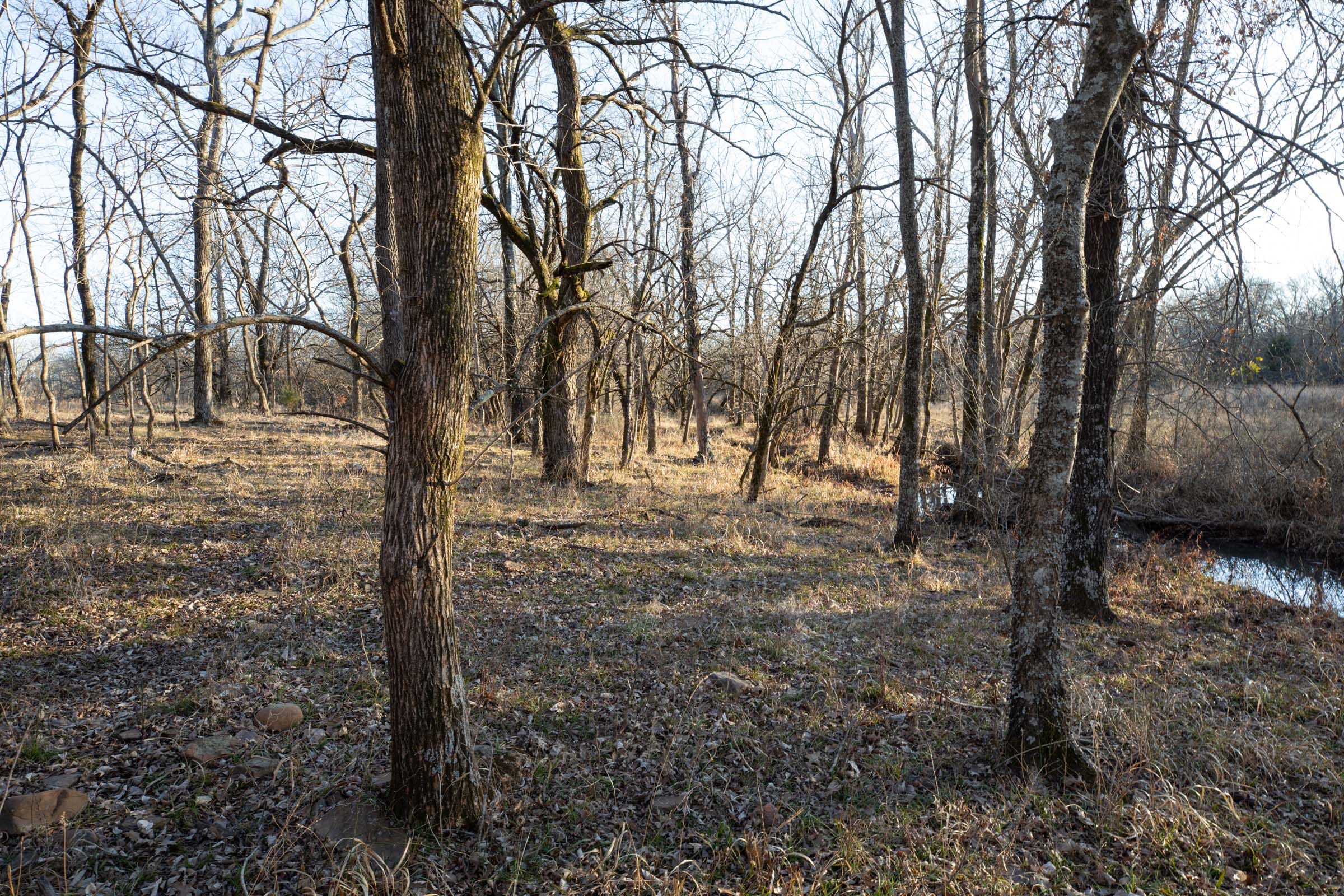 Painted Horse Tract 36 photo 4