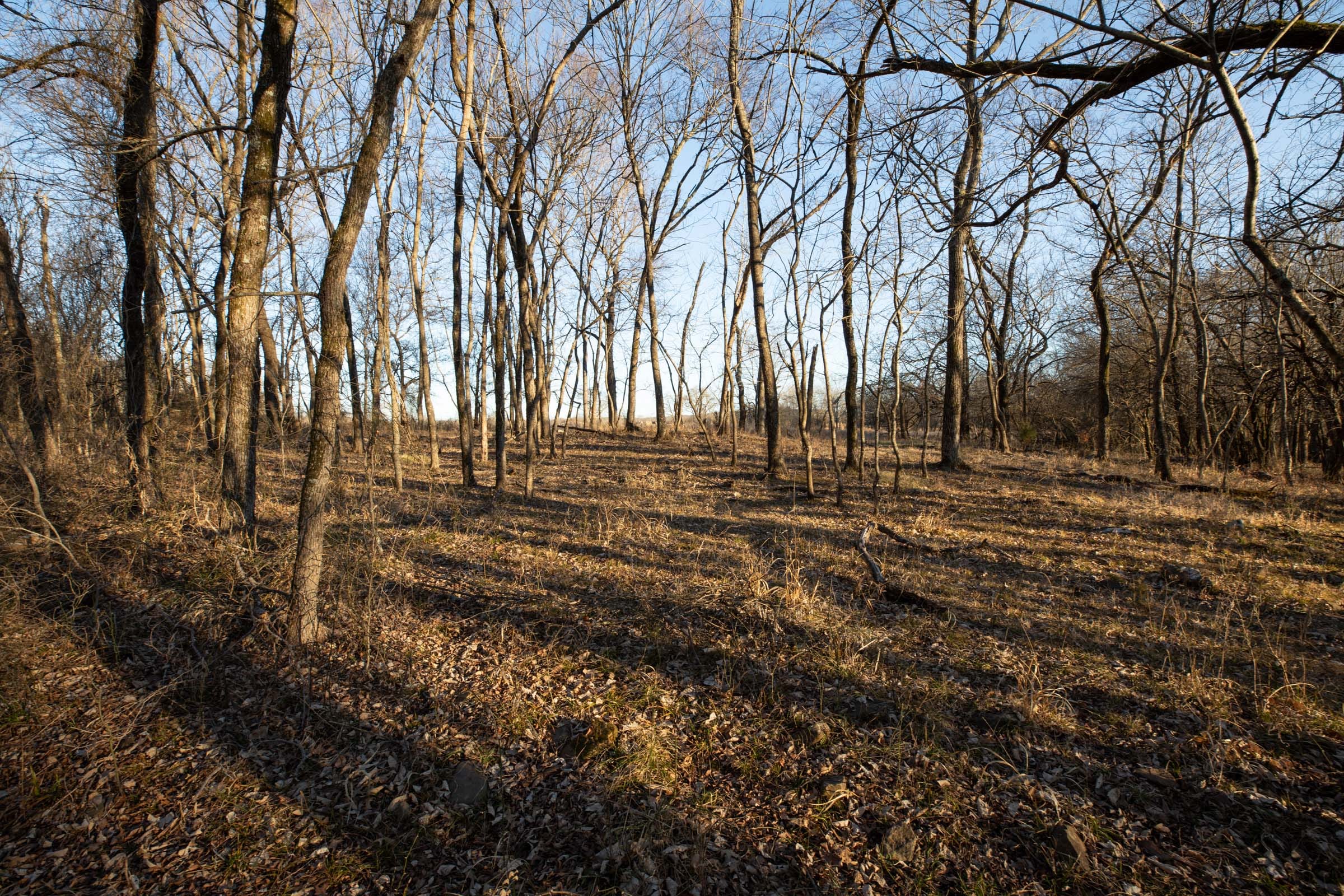 Painted Horse Tract 36 photo 5