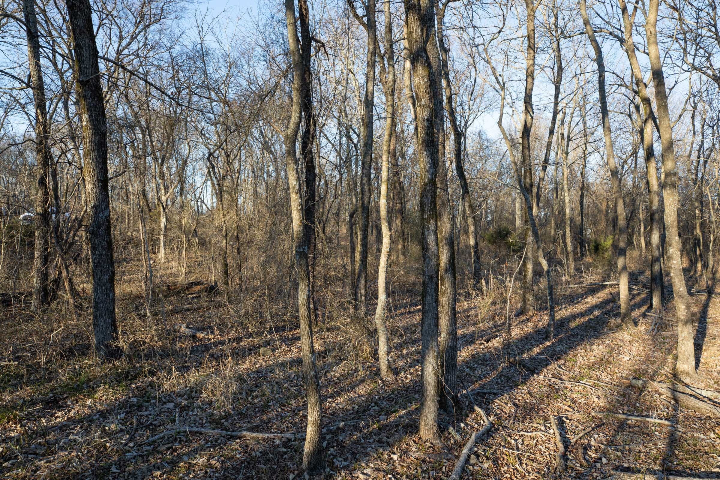 Painted Horse Tract 36 photo 7
