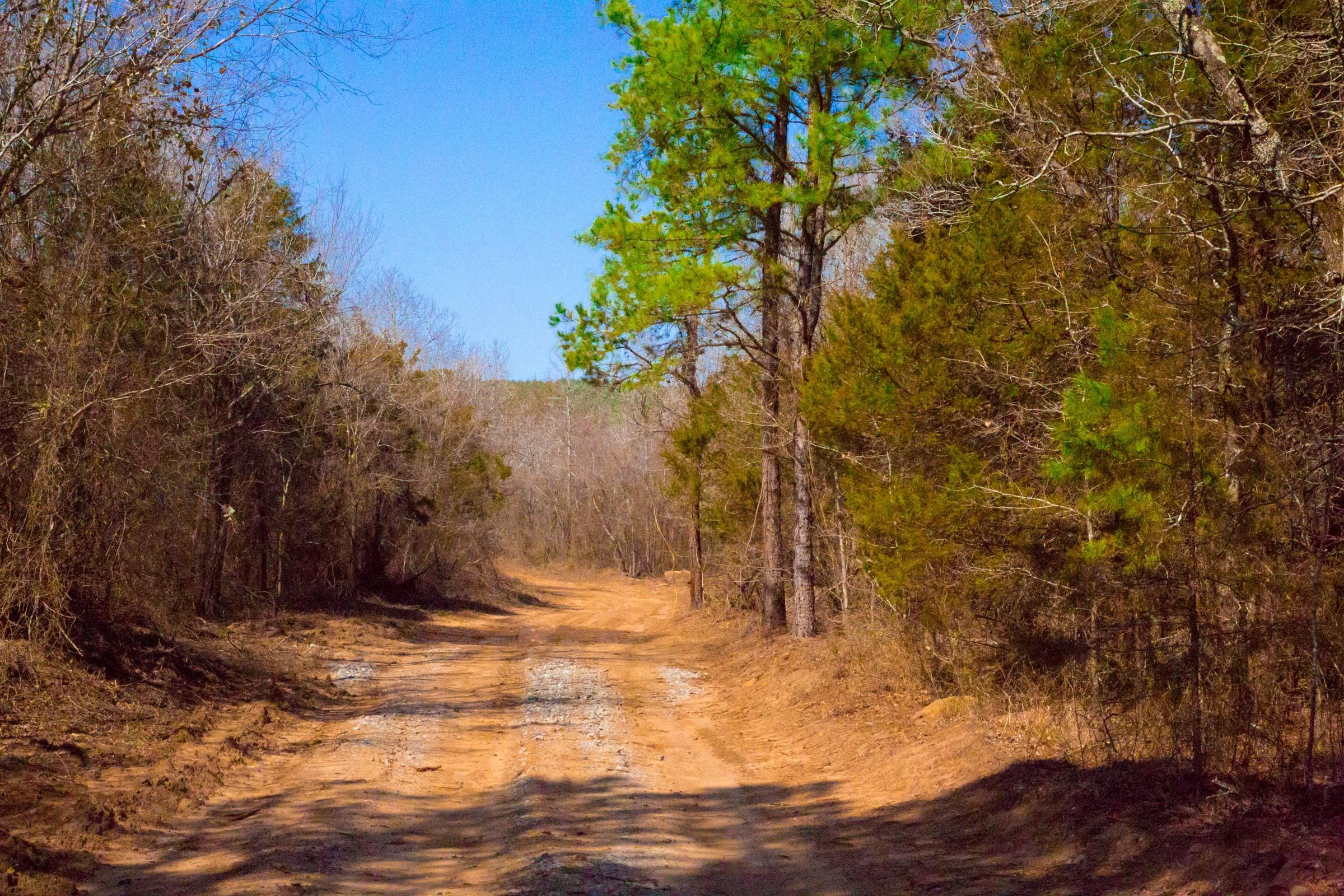 Stone Creek Phase II Tract 126 photo 2