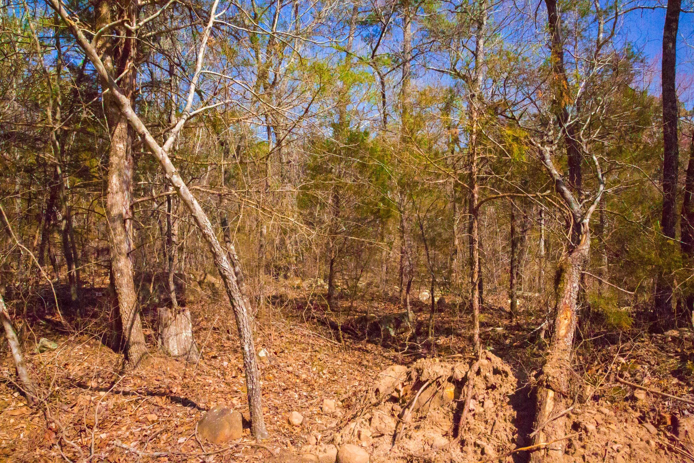 Stone Creek Phase II Tract 126 photo 10