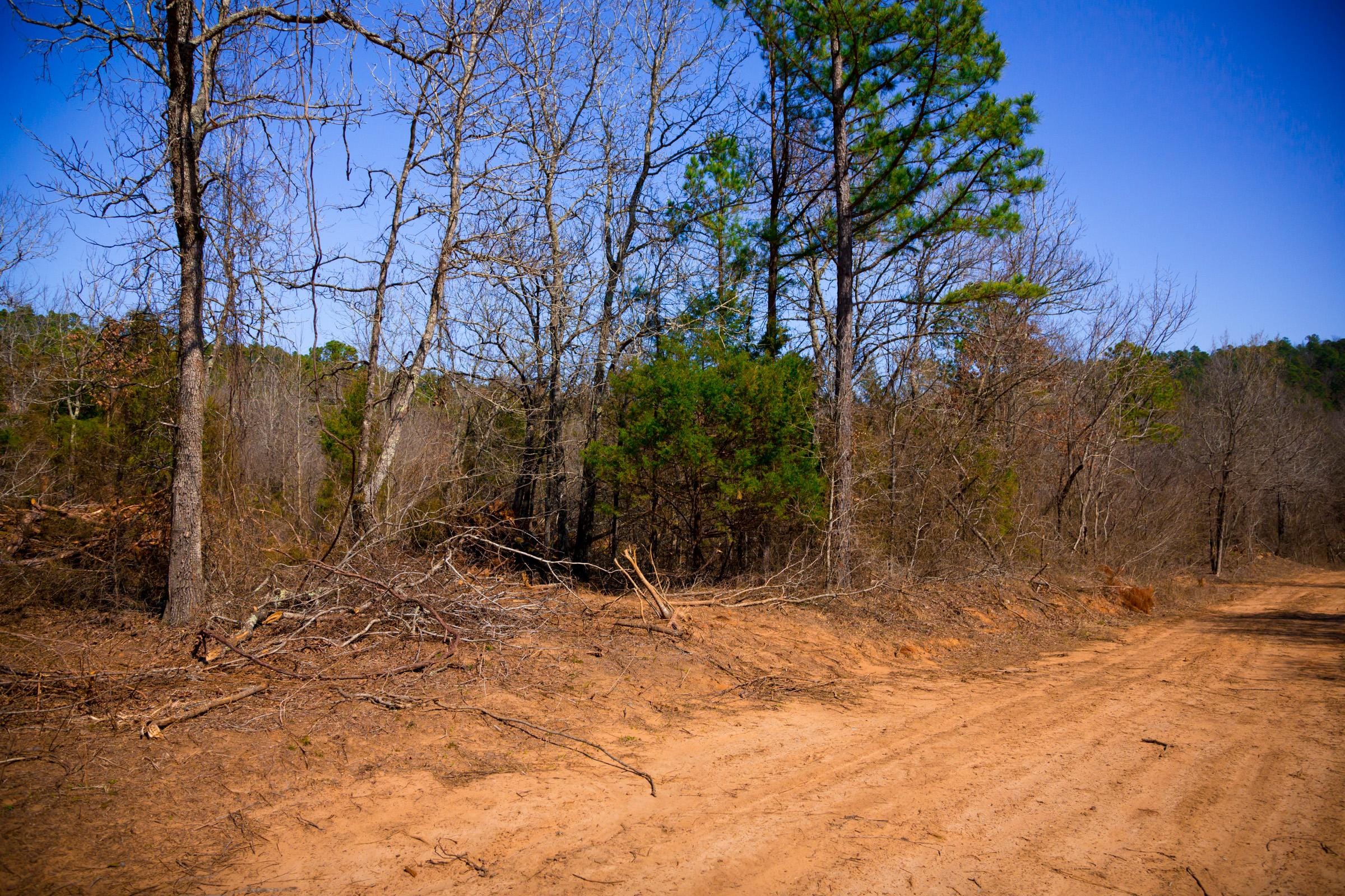 Stone Creek Phase II Tract 126 photo 12
