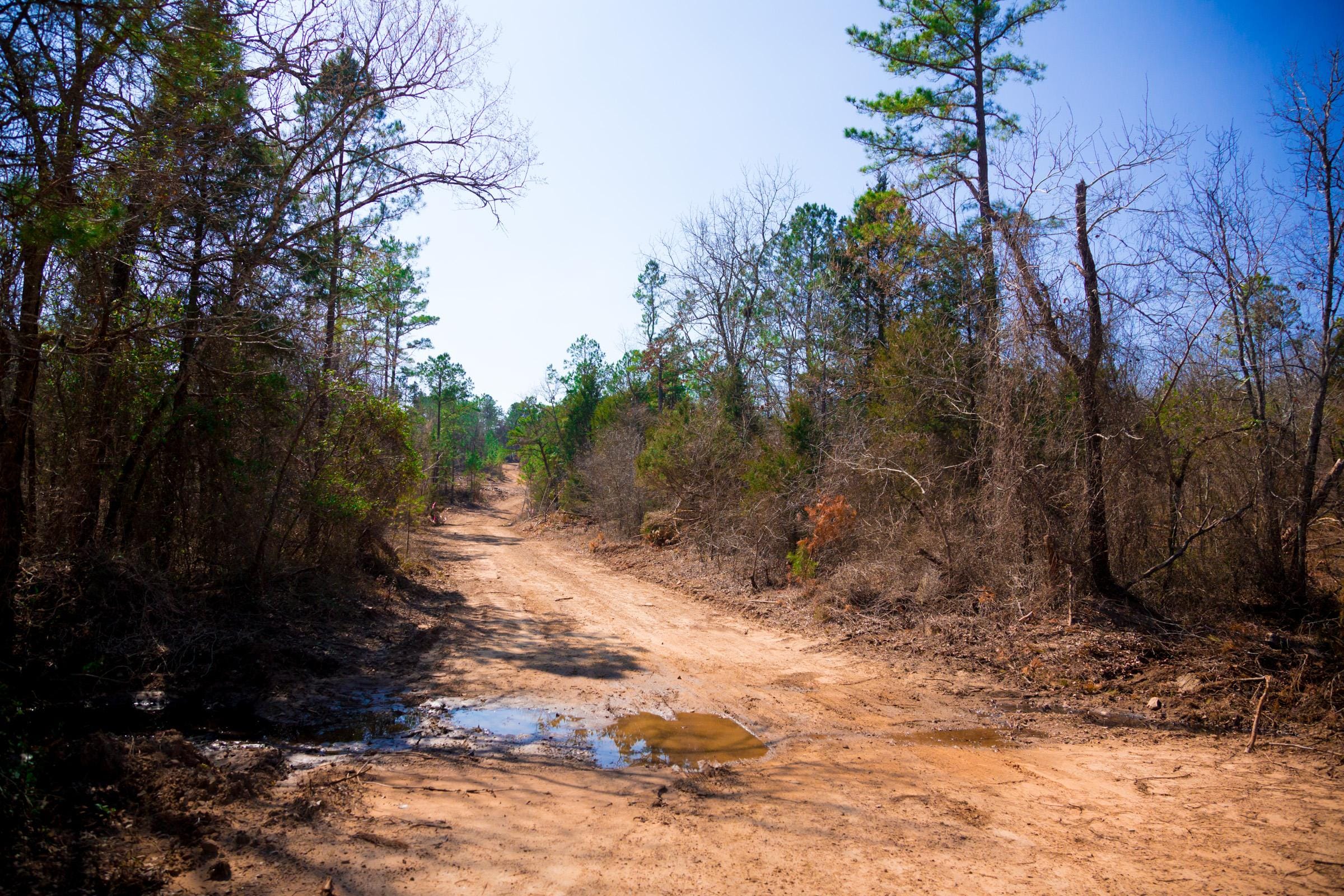 Stone Creek Phase II Tract 126 photo 13