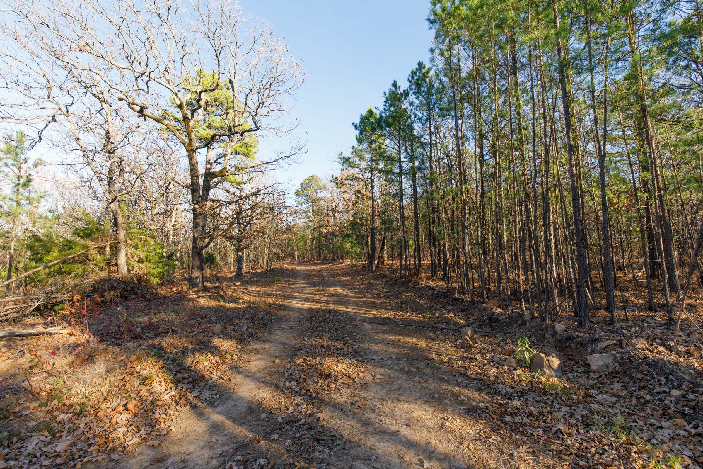 Stone Bridge Phase II Tract 86 photo 7